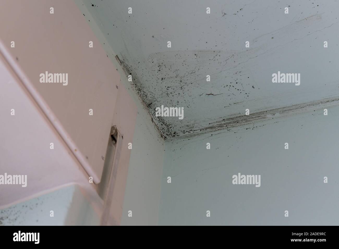 mold on the walls of the bathroom that is formed by the steam Stock Photo
