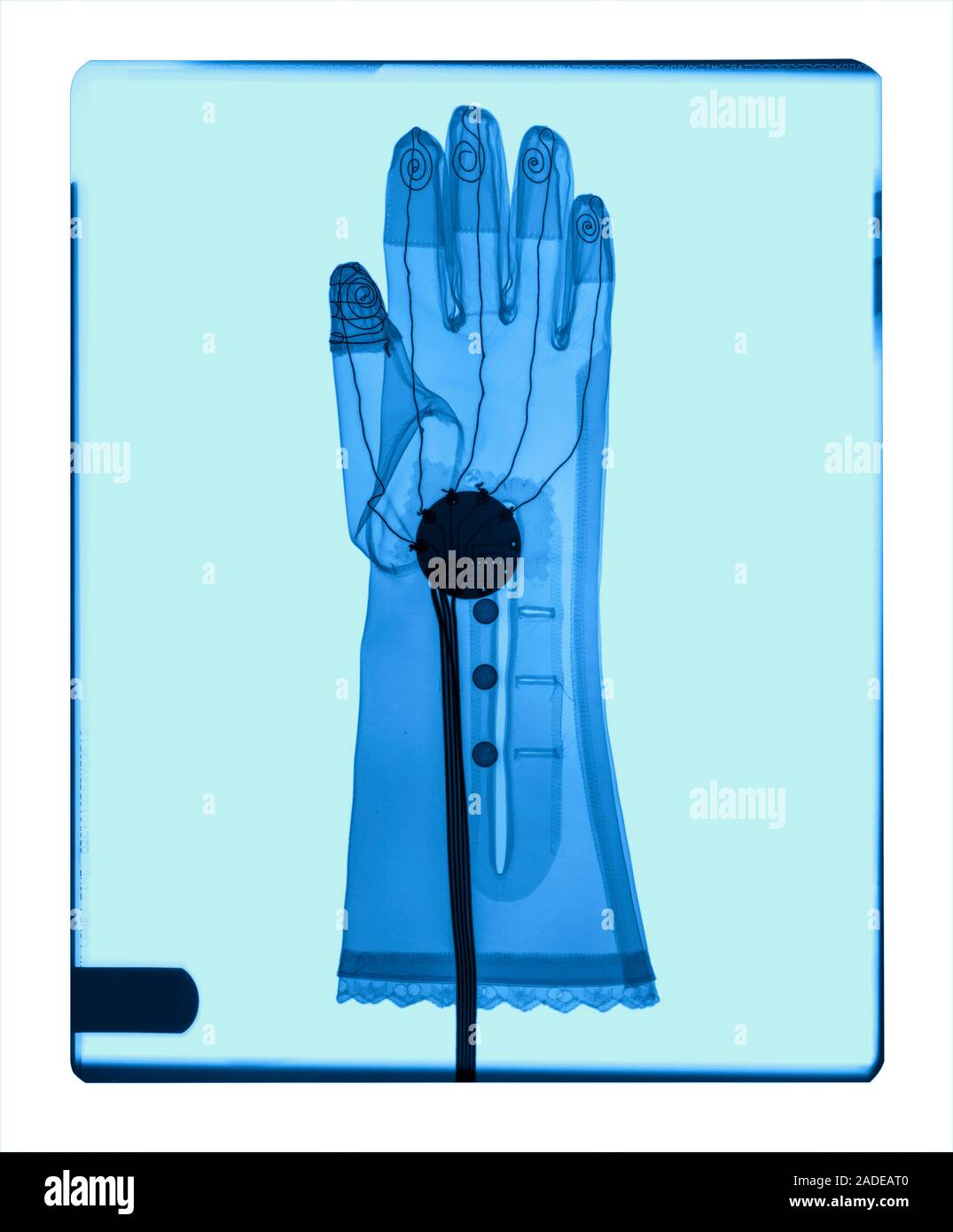 Glove, coloured Xray Stock Photo Alamy