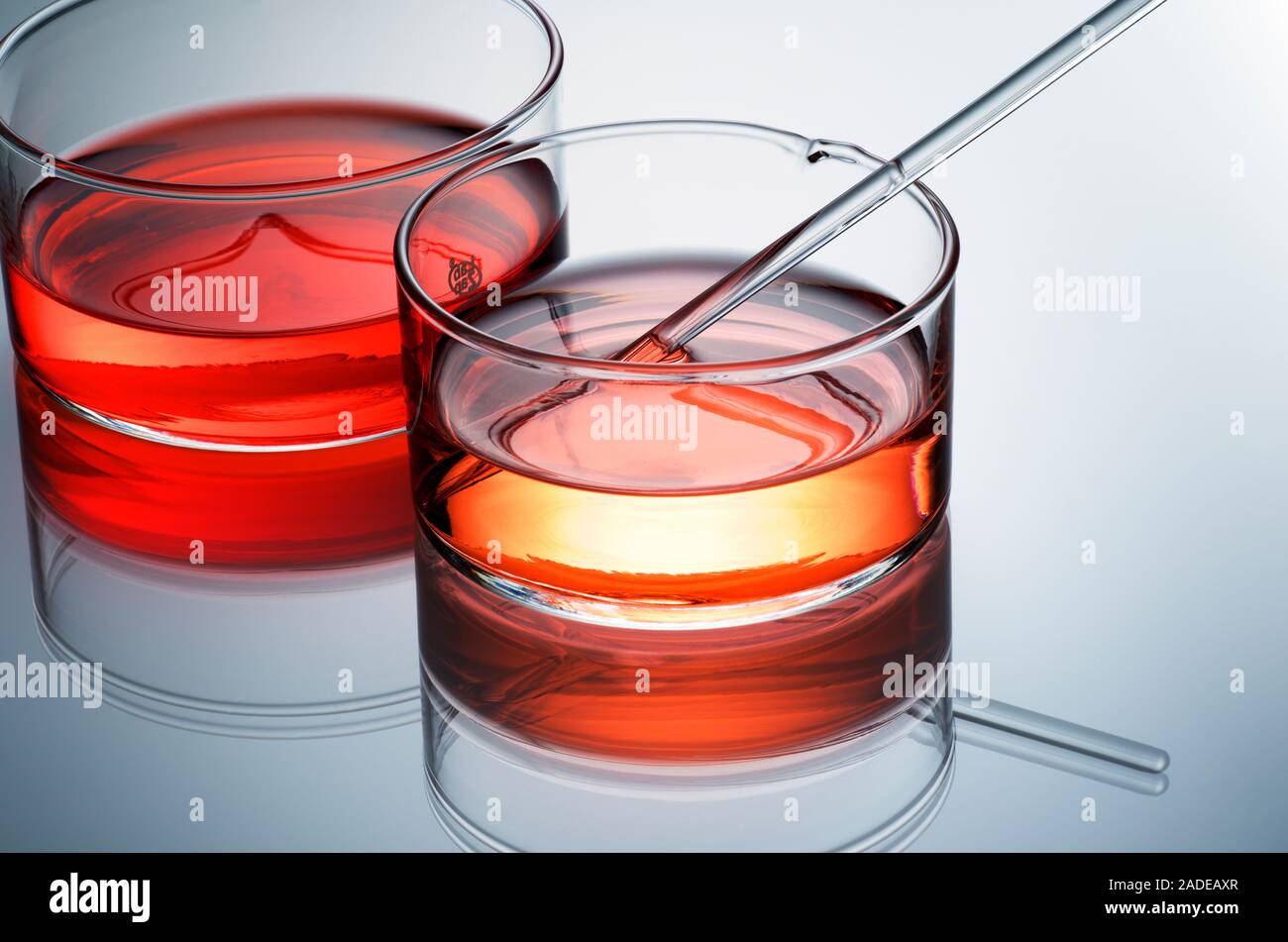 Beakers containing liquids Stock Photo - Alamy