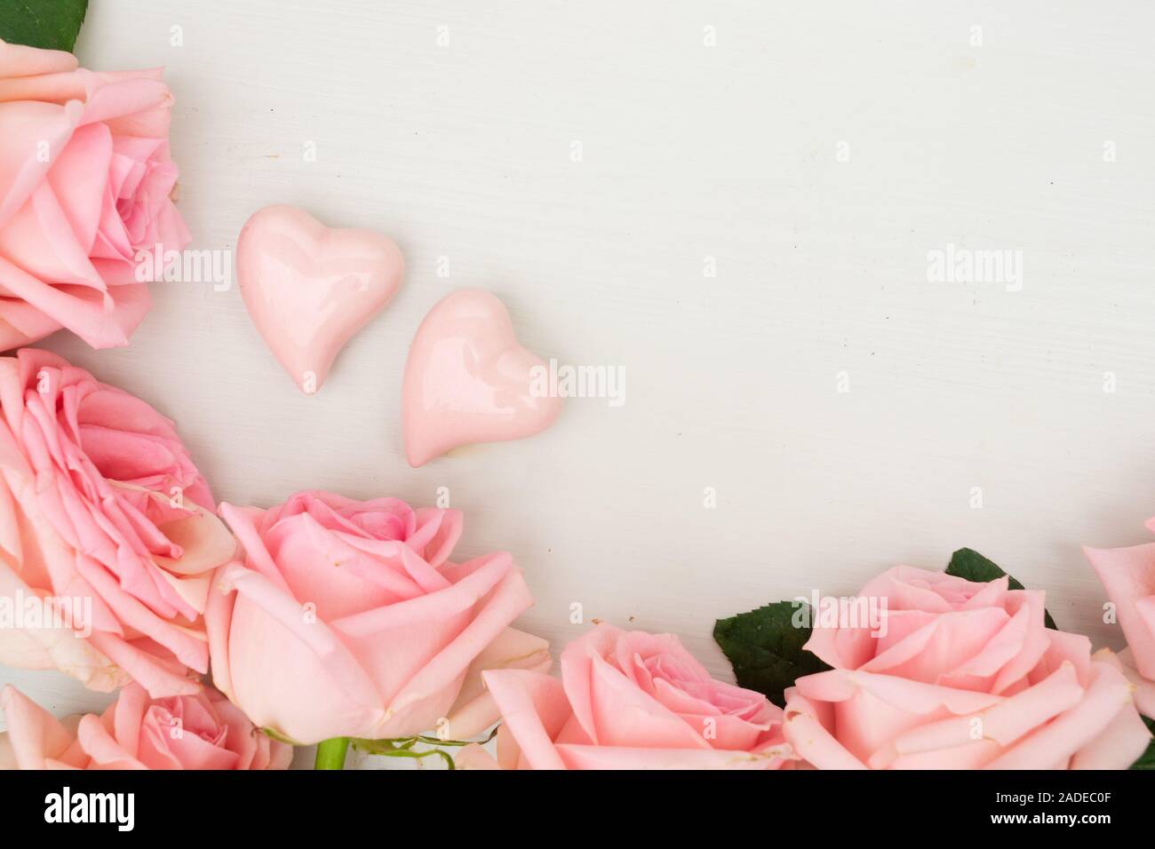 Unfresh Roses fresh rose flowers Stock Photo - Alamy