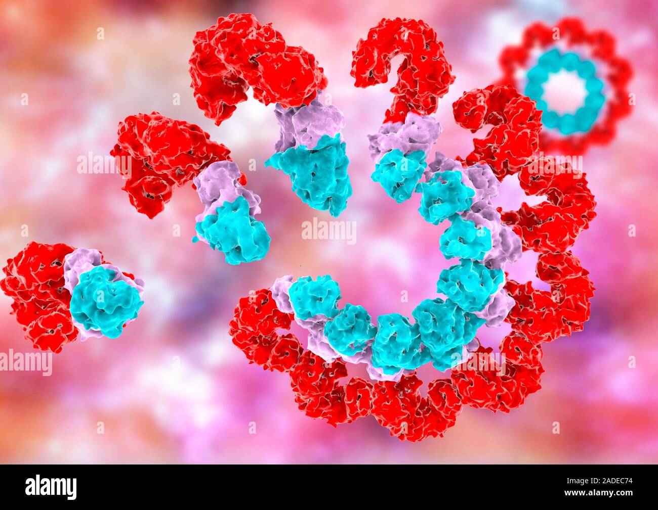Illustration of an inflammasome, a family of complex molecules made up