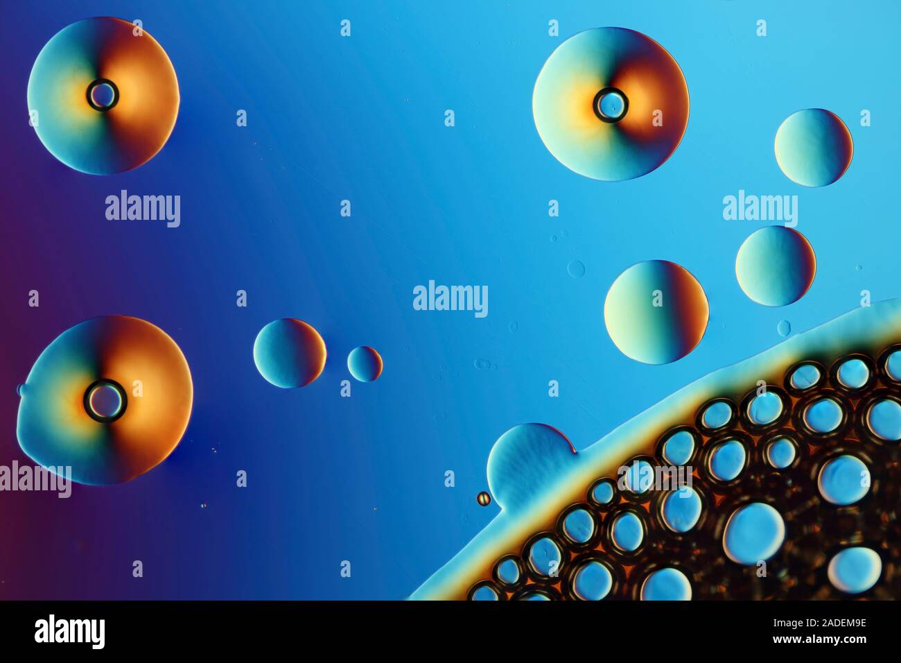 Arginine liquid and bubbles, differential interference contrast light