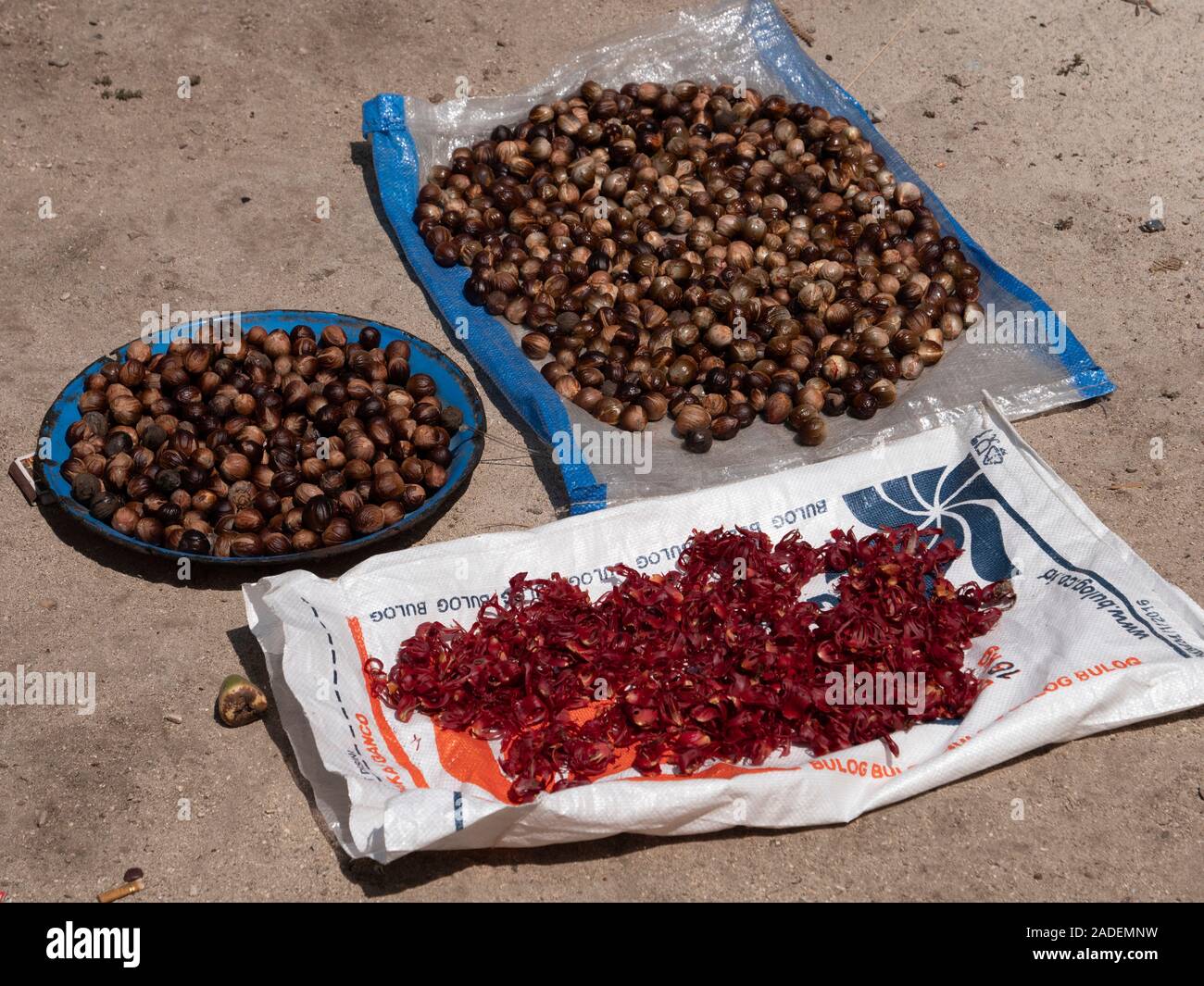 Nutmeg and mace. Nutmeg is the seed or ground spice of several species