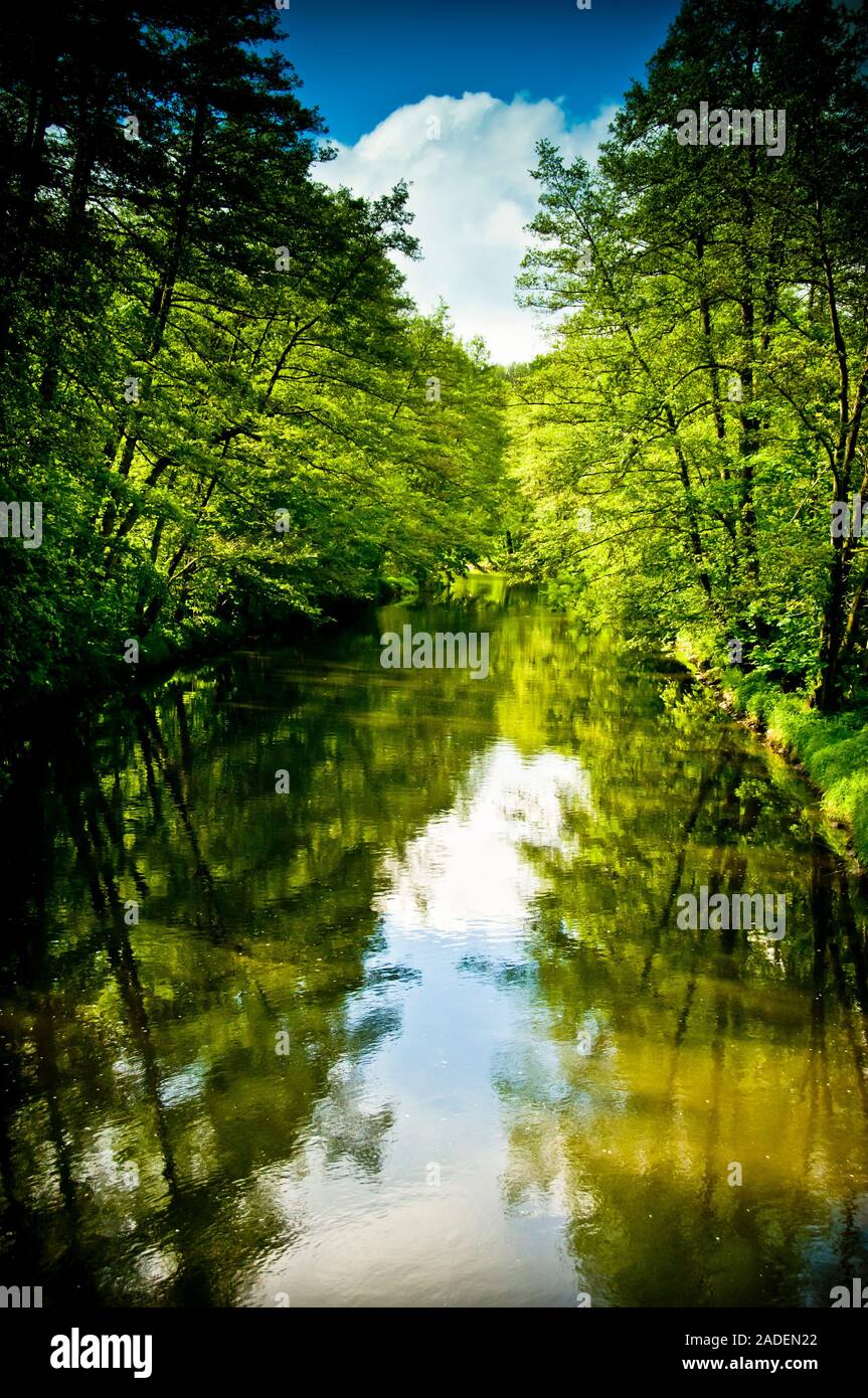 idyllic nature landscape with trees and river in summer, peaceful and calm Stock Photo