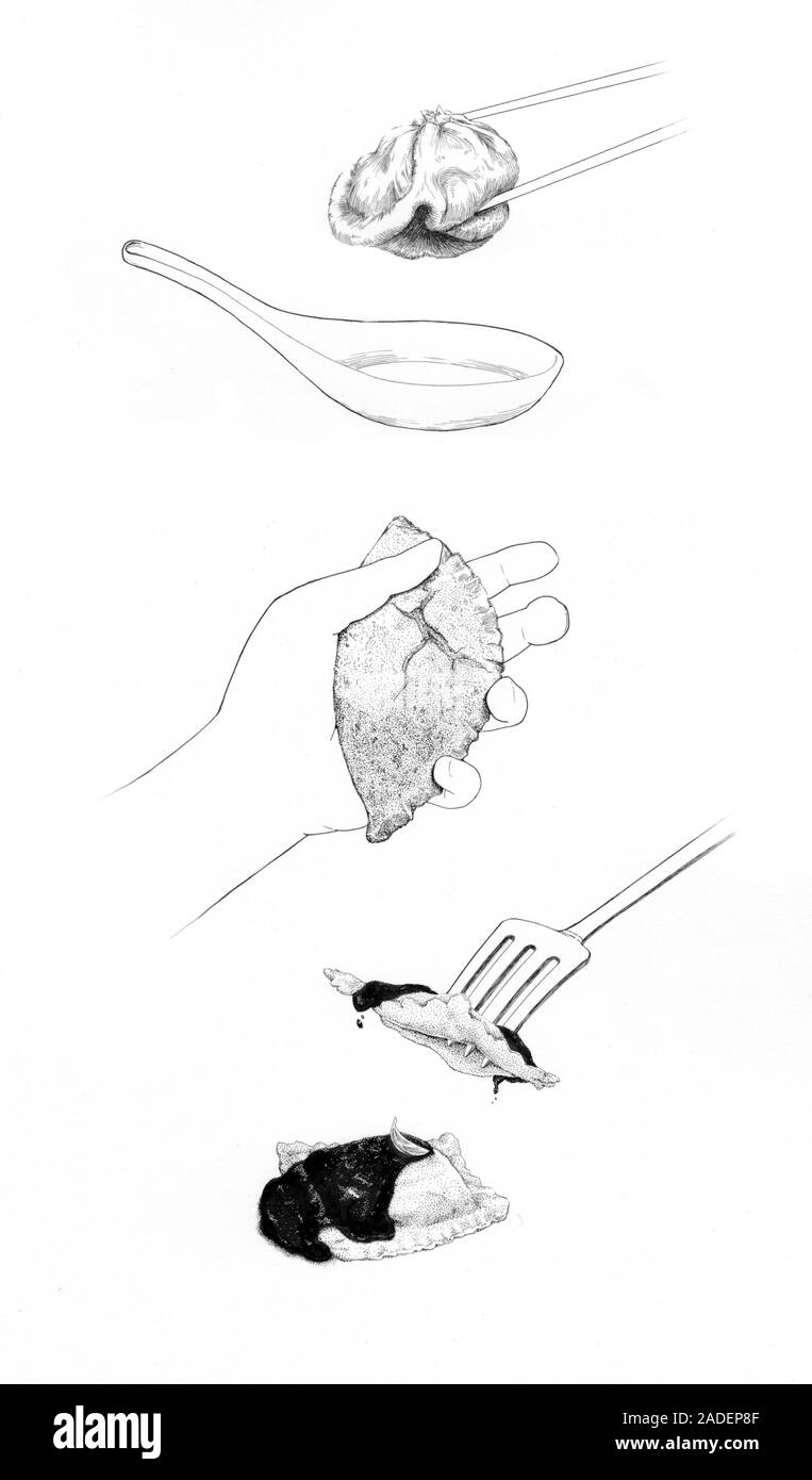 Different cultures' dumplings, illustration. A xiaolongbao, empanada