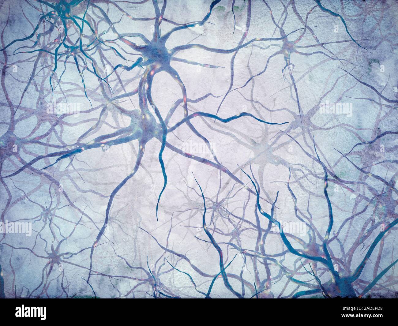 Neural network. Computer illustration of nerve cells, or neurons ...