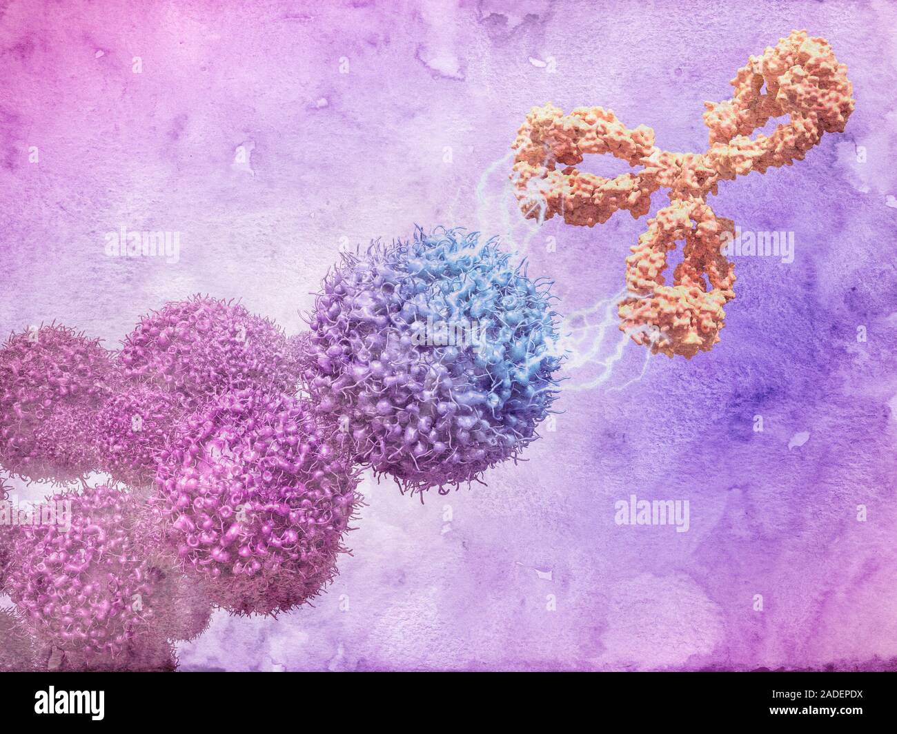 Cancer drug attacking cancer cells. 3D computer illustration of the ...