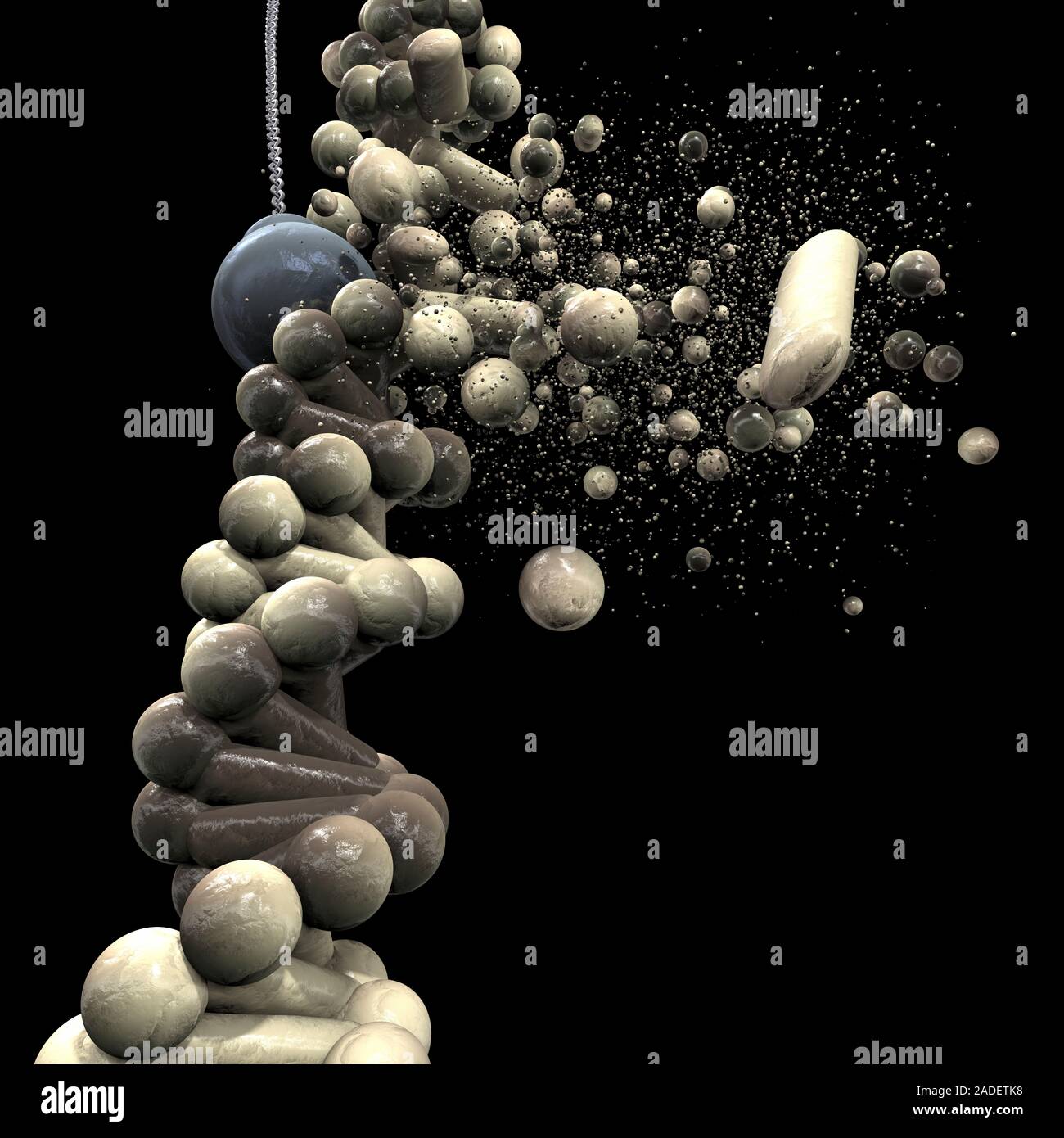 This image may not be used in educational posters DNA damage ...