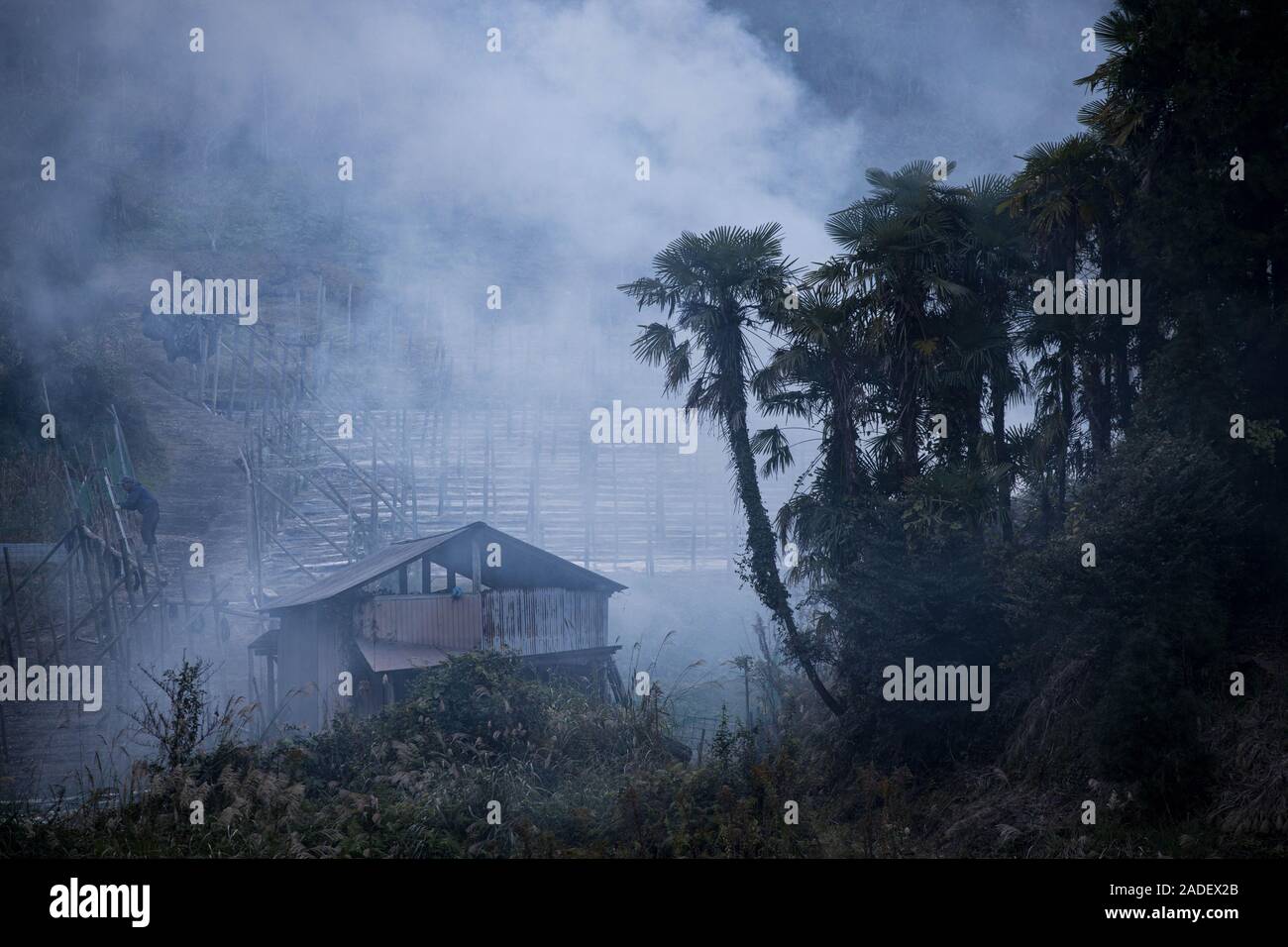 Smoke from burning agricultural waste billows over small shack in rural Japanese mountains Stock Photo
