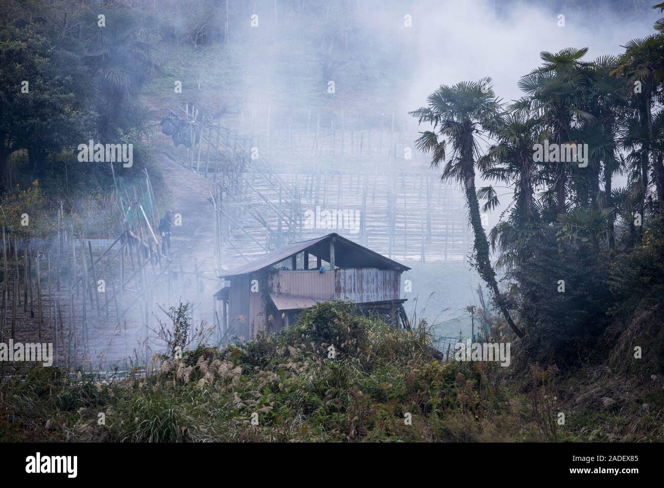 Wooden shack engulfed in billowing smoke from controlled burn on rural farm Stock Photo