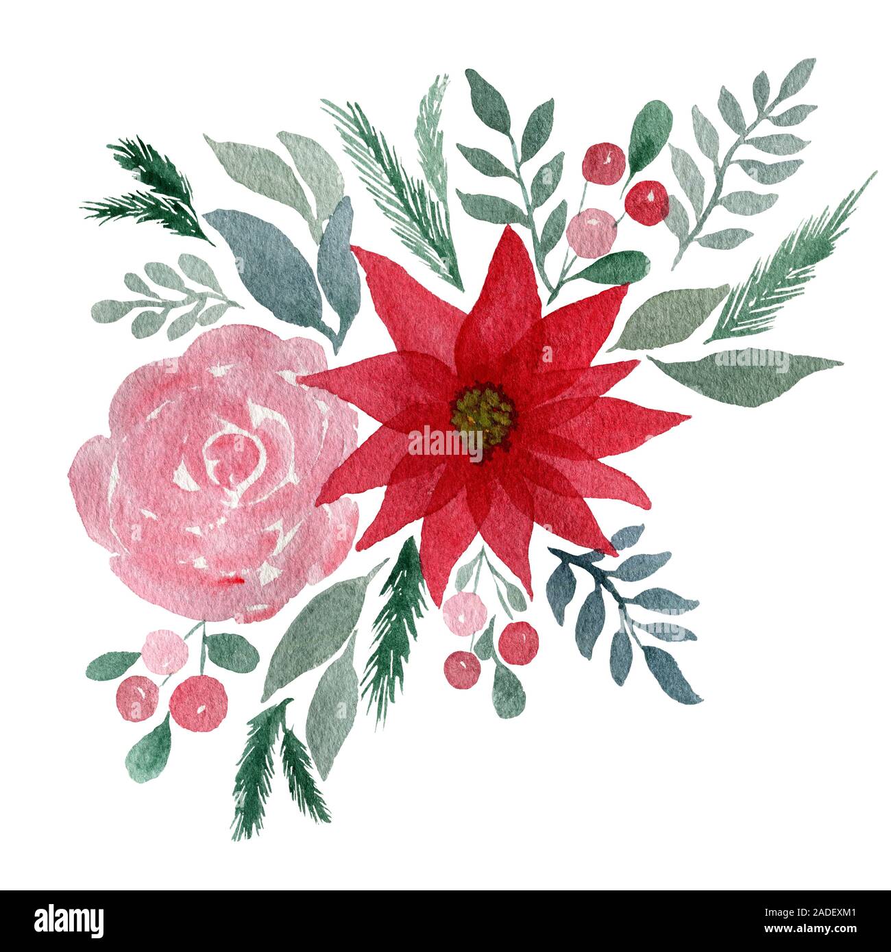 watercolor floral background with winter bouquet, floral design with poinsettia flower, pink rose and berries Stock Photo