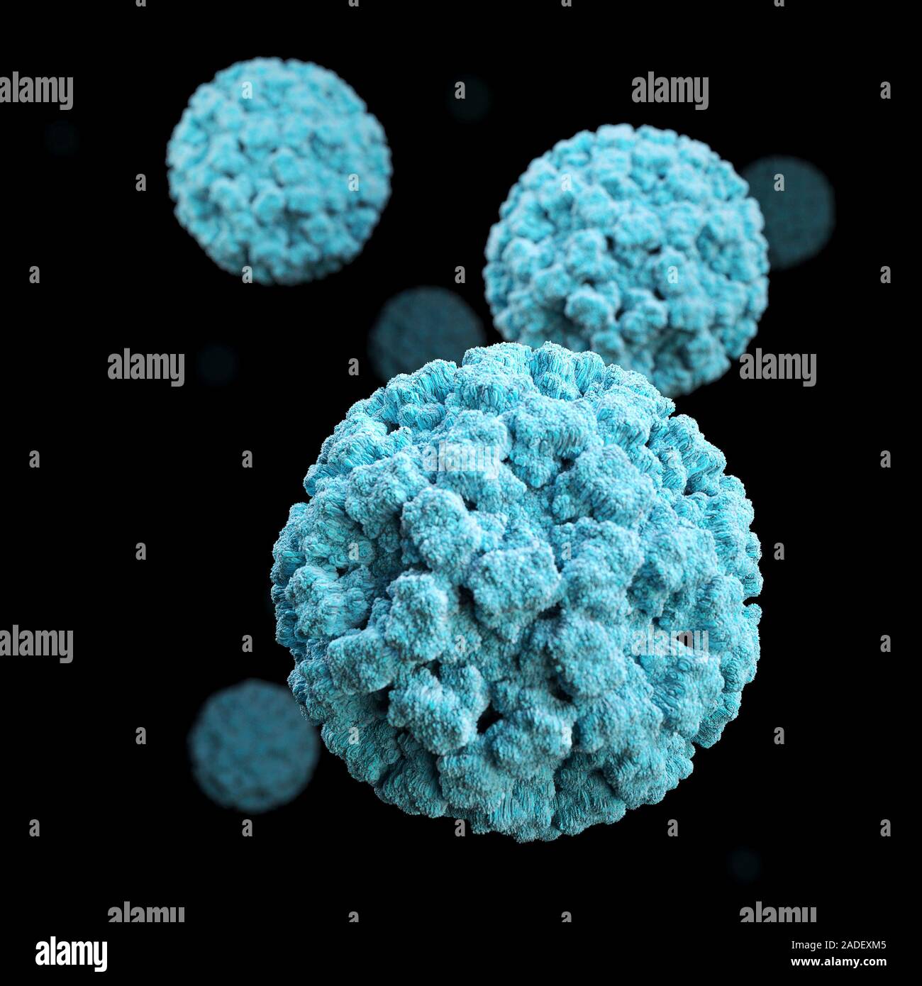 Norovirus particles, 3D computer illustration based on scanning