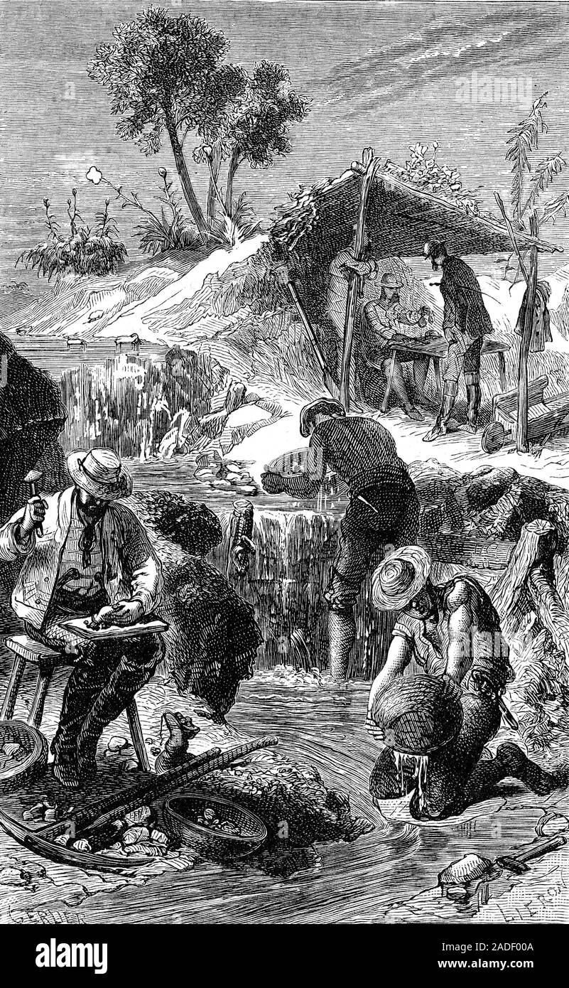Gold Mining 19th Century Illustration Gold Prospectors Mining A Gold