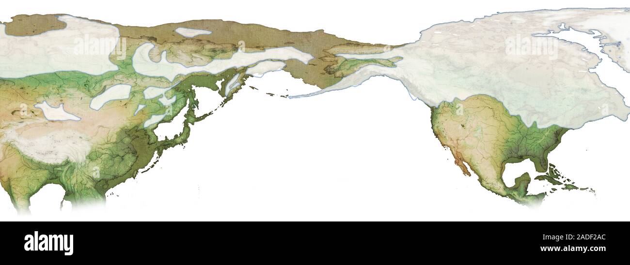 Bering Land Bridge, illustration. This area of land connected what is