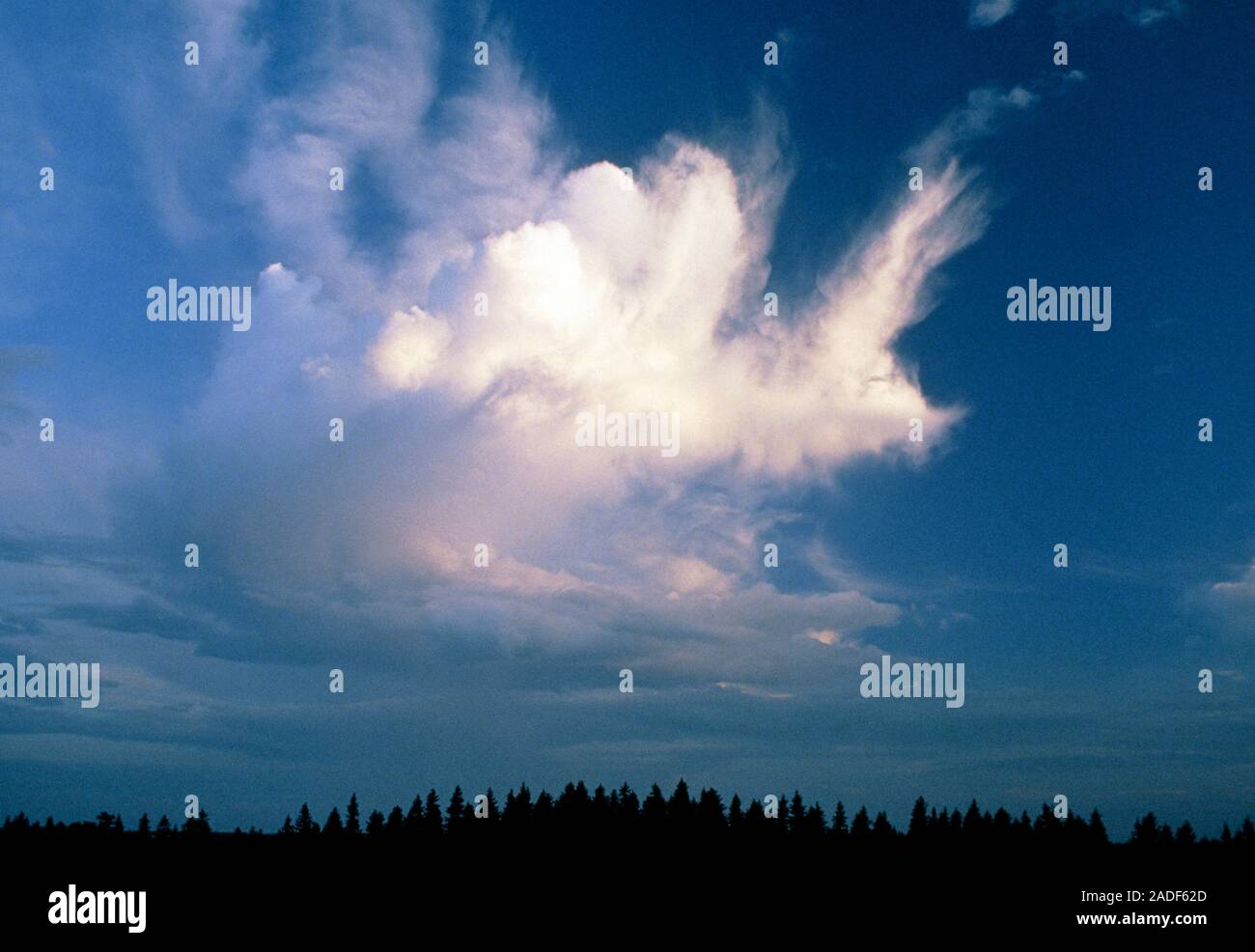 Cumulus and stratus clouds. Cumulus cloud with layers of low grey stratus clouds in the distance