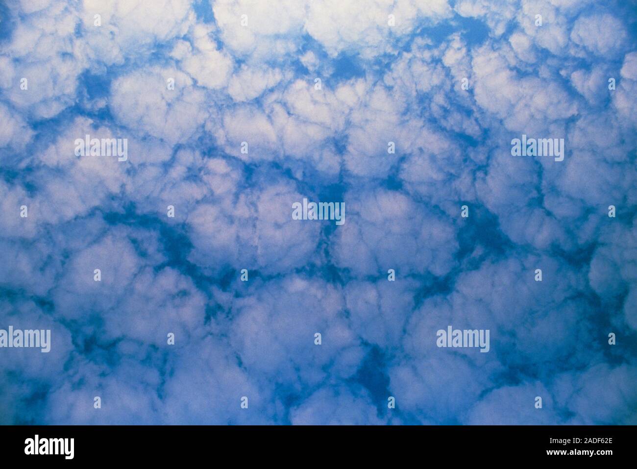 Mackerel sky. A region of altocumulus cloud. This is often called a