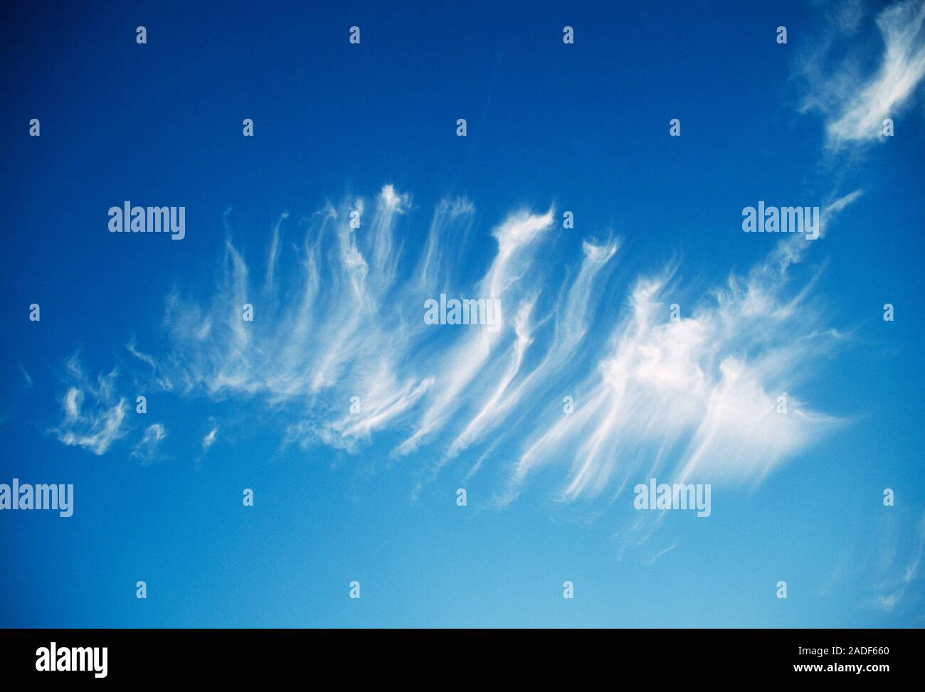 Cirrus Clouds In A Blue Sky These Clouds Form At High Altitudes Typically Above 5000 Metres They Consist Of Tiny Ice Crystals The Wispy Shapes Of Stock Photo Alamy Cirrus Clouds In A Blue Sky These Clouds Form At High Altitudes Typically Above 5000 Metres They Consist Of Tiny Ice Crystals The Wispy Shapes Of Stock Photo Alamy