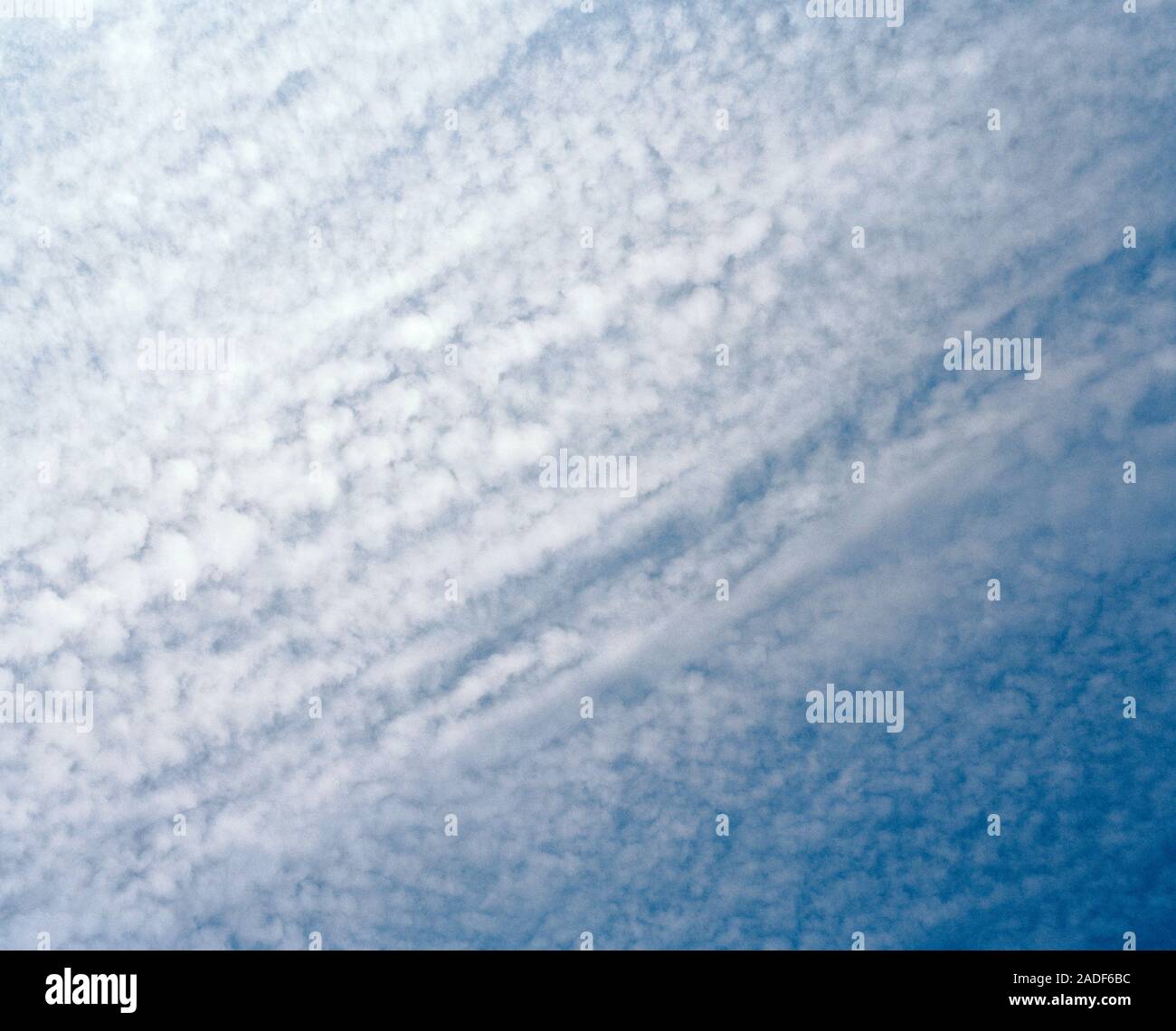 Mackerel sky. Highaltitude clouds forming a mackerel sky. This