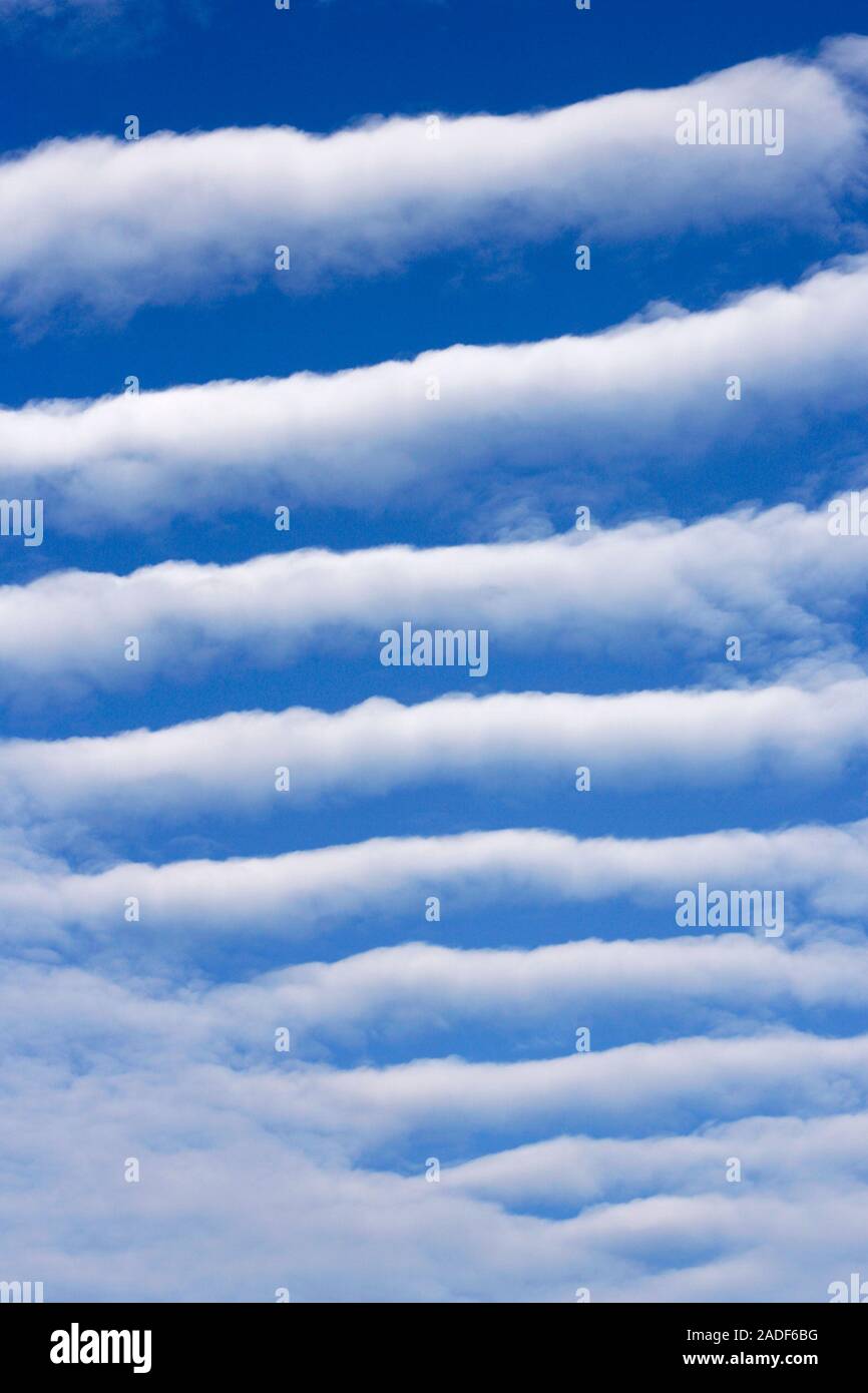 Altocumulus undulatus clouds. This cloud formation consists of parallel bands of cumulus clouds. It occurs when a layer of altocumulus cloud is affect Stock Photo