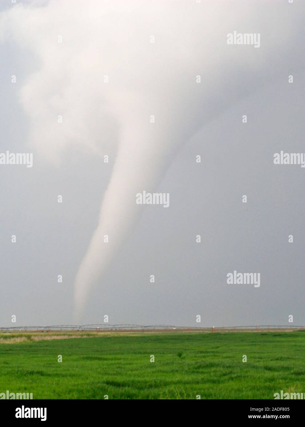 Tornado spinning across farmland. A tornado is a violent, rotating