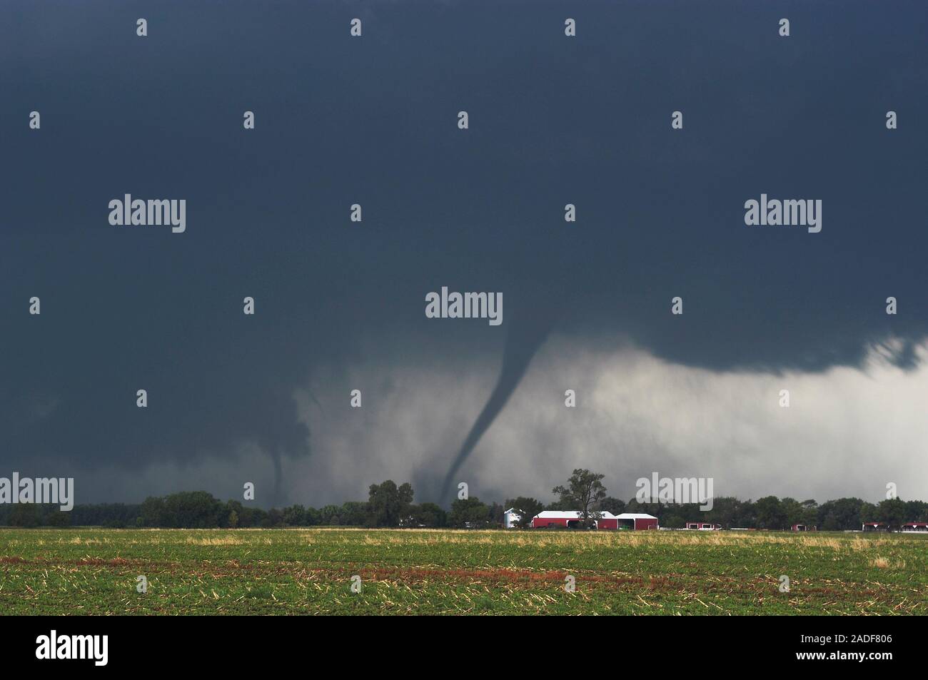 Two tornadoes on the ground simultaneously. A tornado is a violent