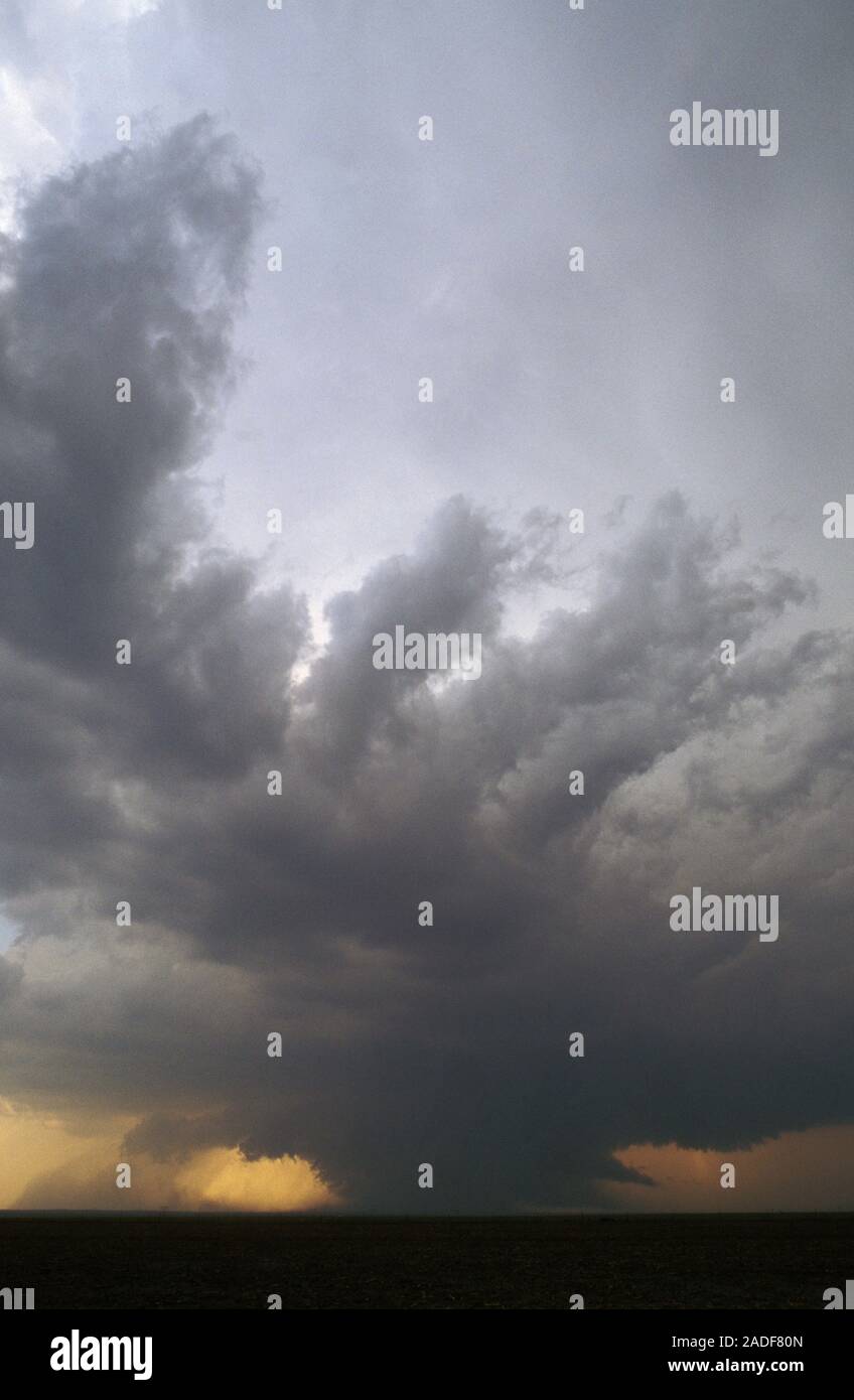 Dirtwrapped tornado moving over farmland. A tornado is a violent