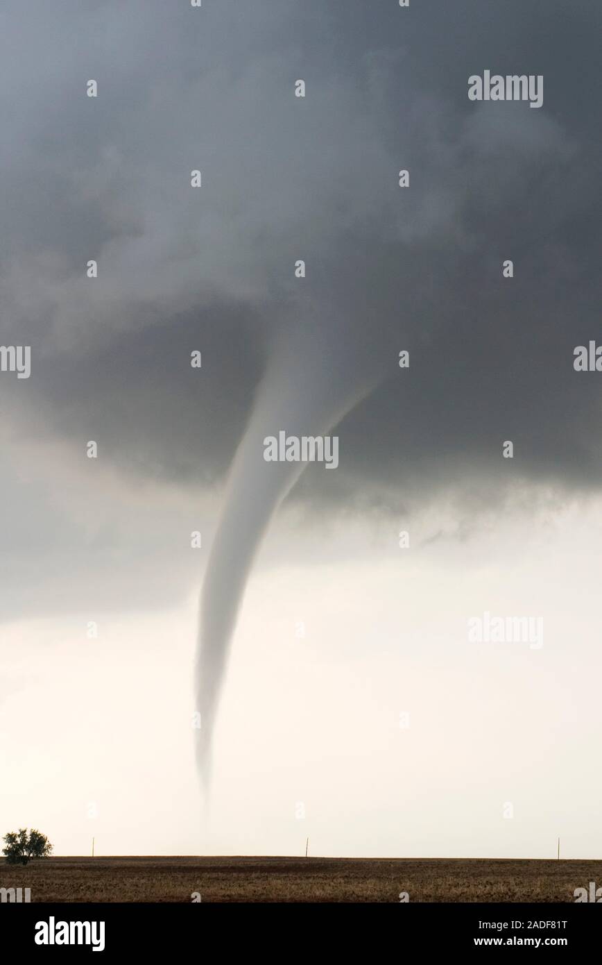 Tornado dropping to ground. A tornado is a violent rotating column of ...