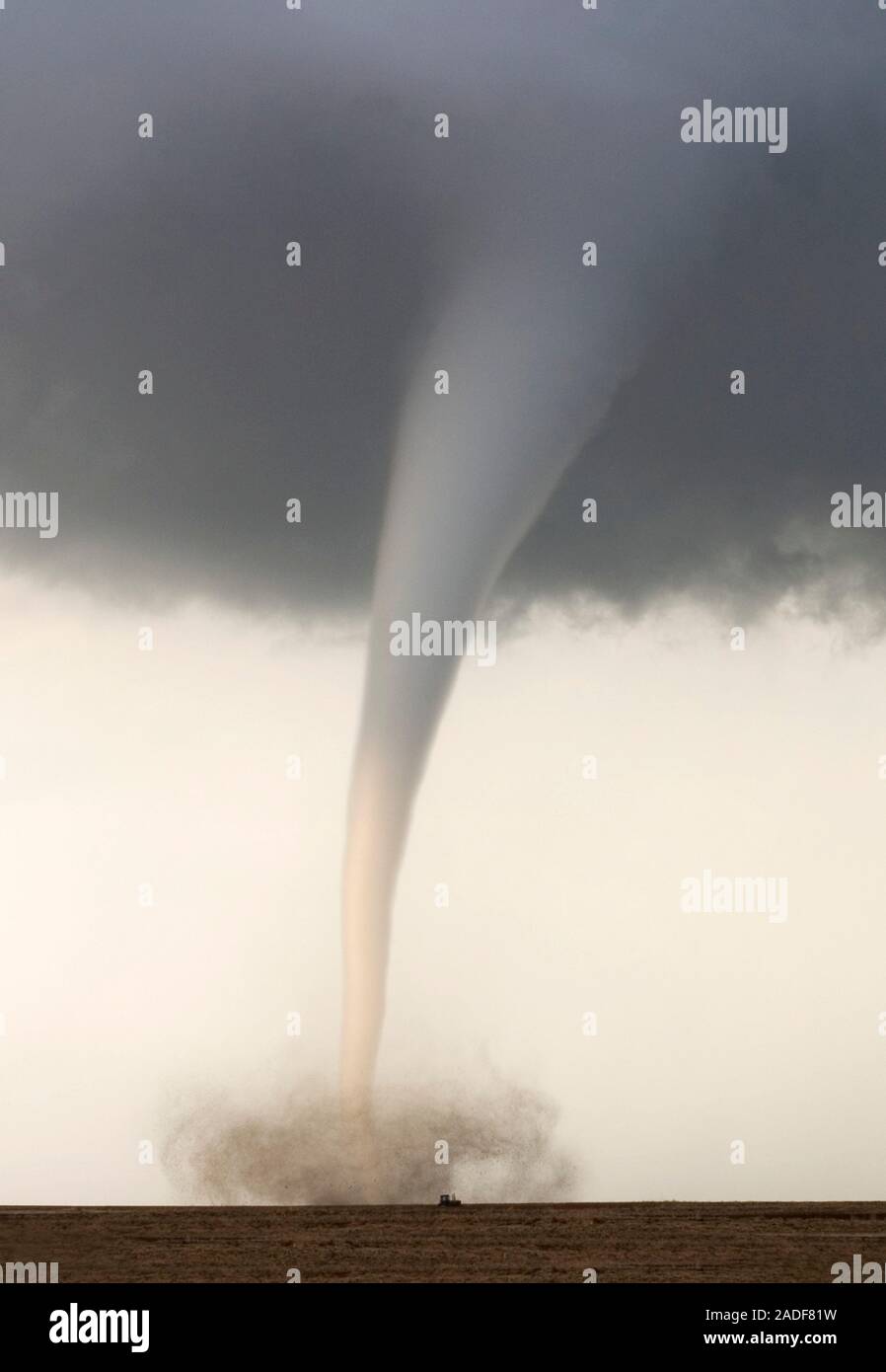 Tornado moving over rural land creating a large debris cloud. A tornado
