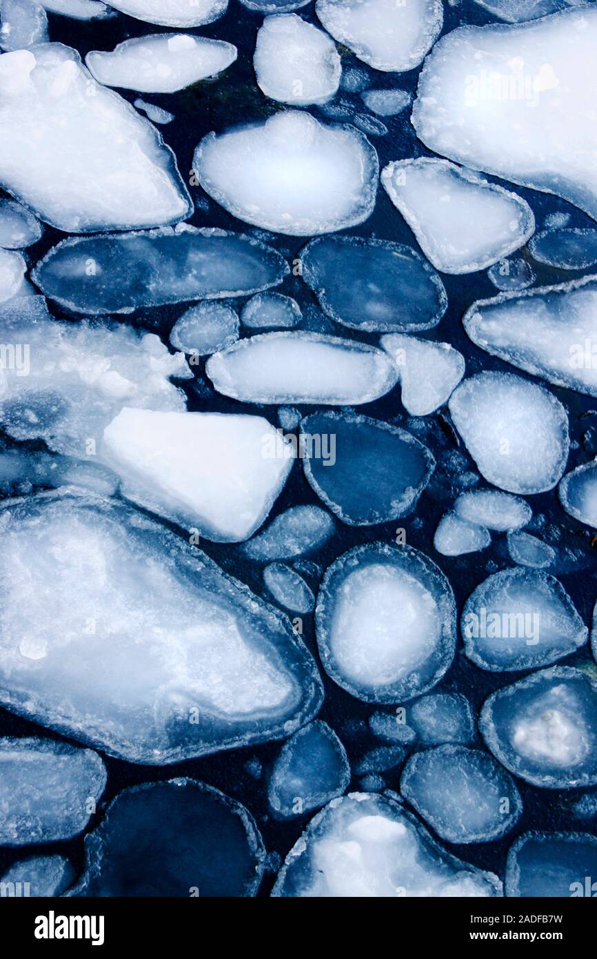 Pancake ice. This freefloating ice is circular to polygonal in shape