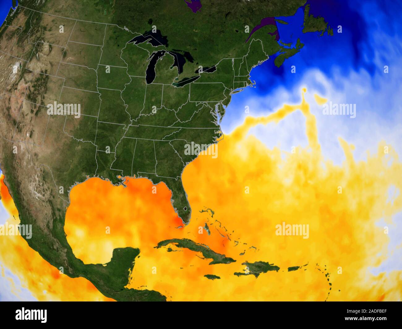 Gulf temperature. Satellite image of the east coast of North America