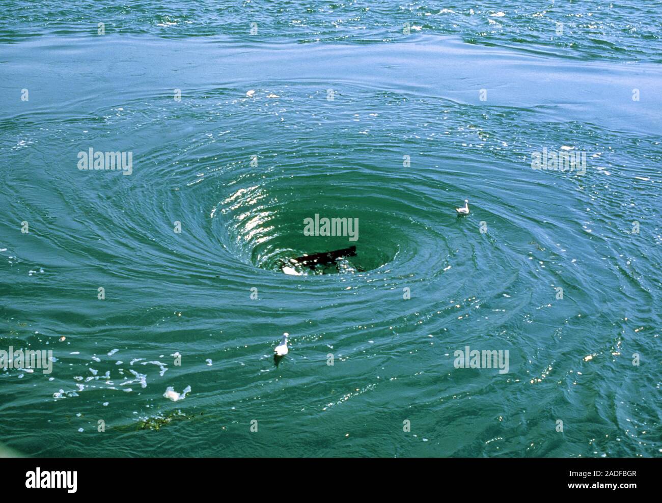 Whirlpool produced by currents on the lake side of the Rance barrage in