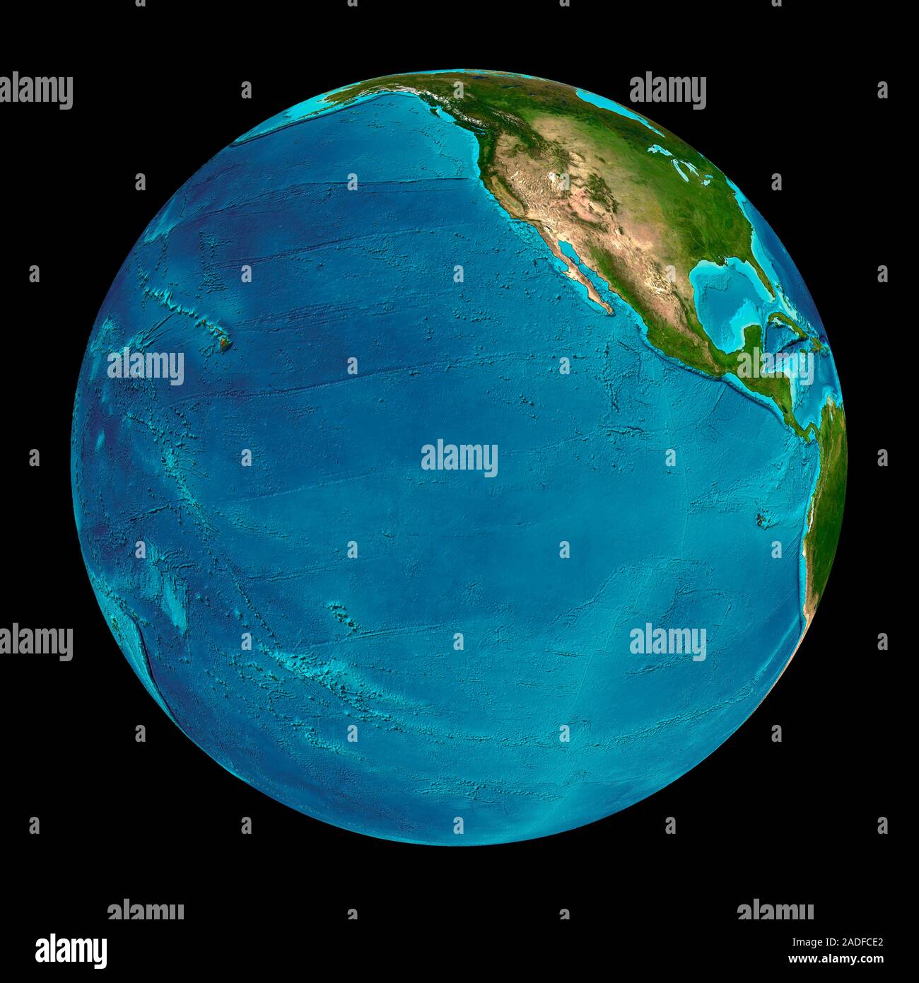 Eastern Pacific Ocean Seafloor Map North Is At Top North America Is Eastern Pacific Ocean Seafloor Map North Is At Top North America Is At Upper Right Most Of This Hemisphere Is Water With Scattered Volcanic Islan 2ADFCE2 