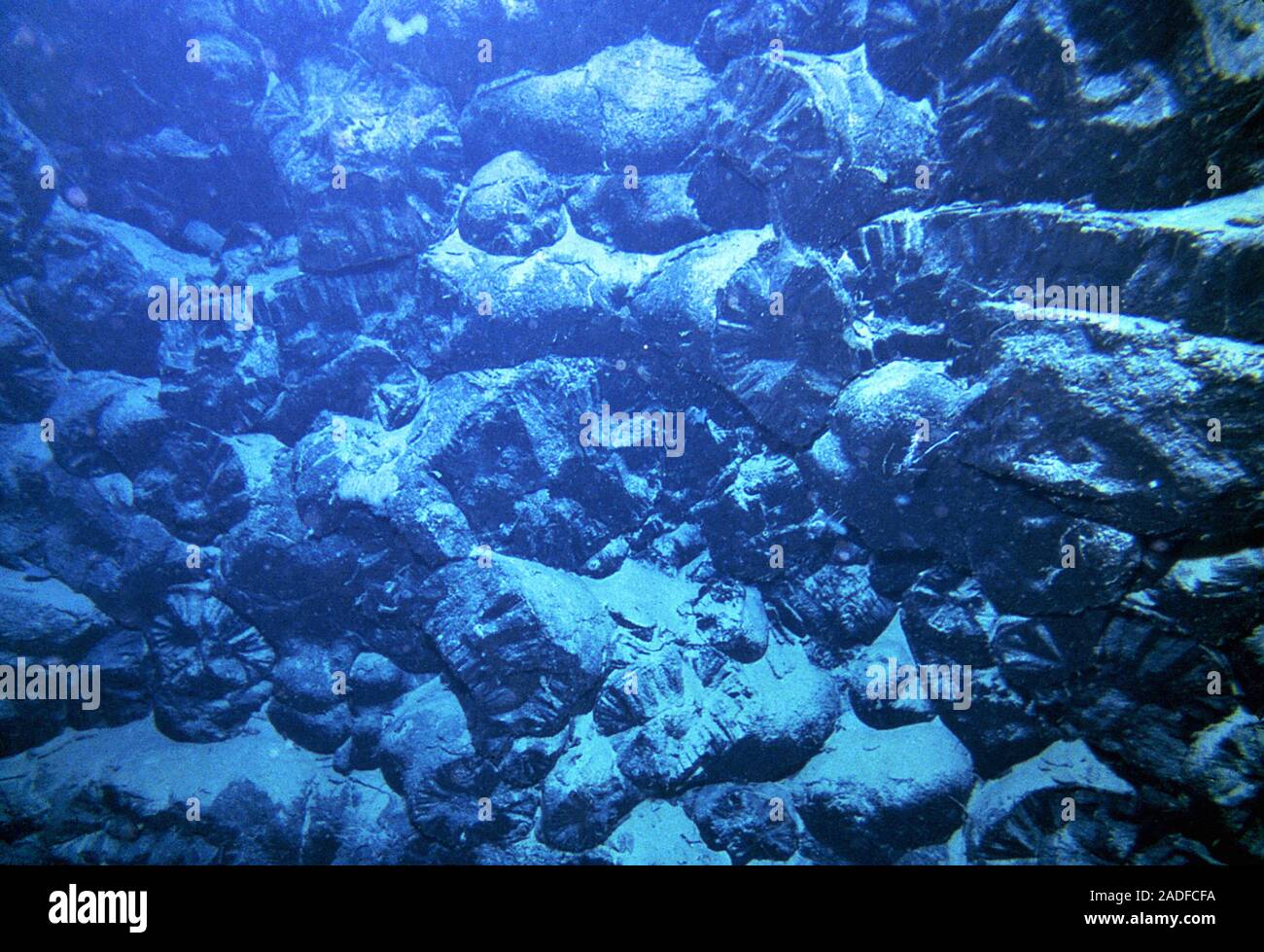 Fractured pillow lava, formed at a deep ocean hydrothermal vent. Pillow