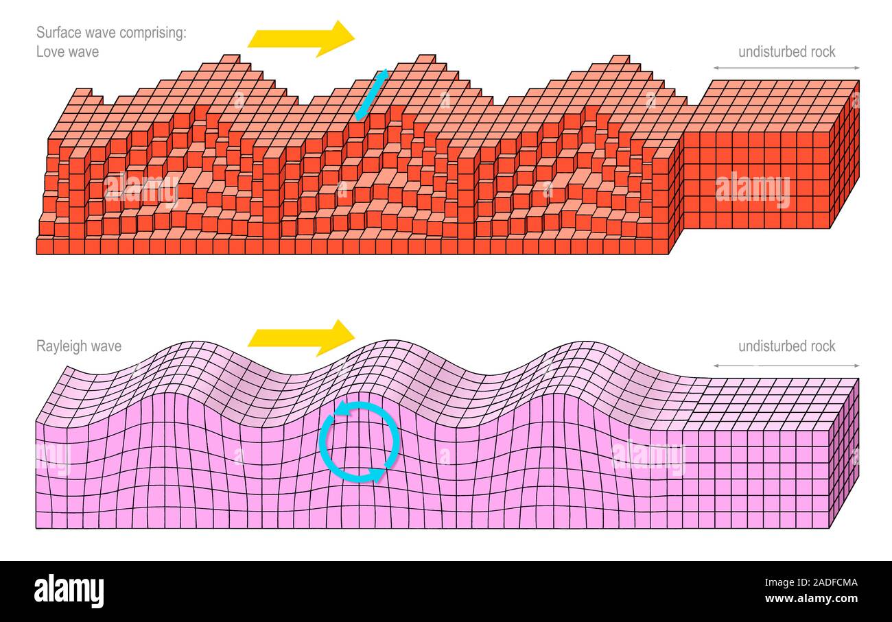 Seismic surface waves. Artwork of the two types of surface wave produced by  an earthquake. The Love wave (top) is a transverse wave that causes ground  Stock Photo - Alamy