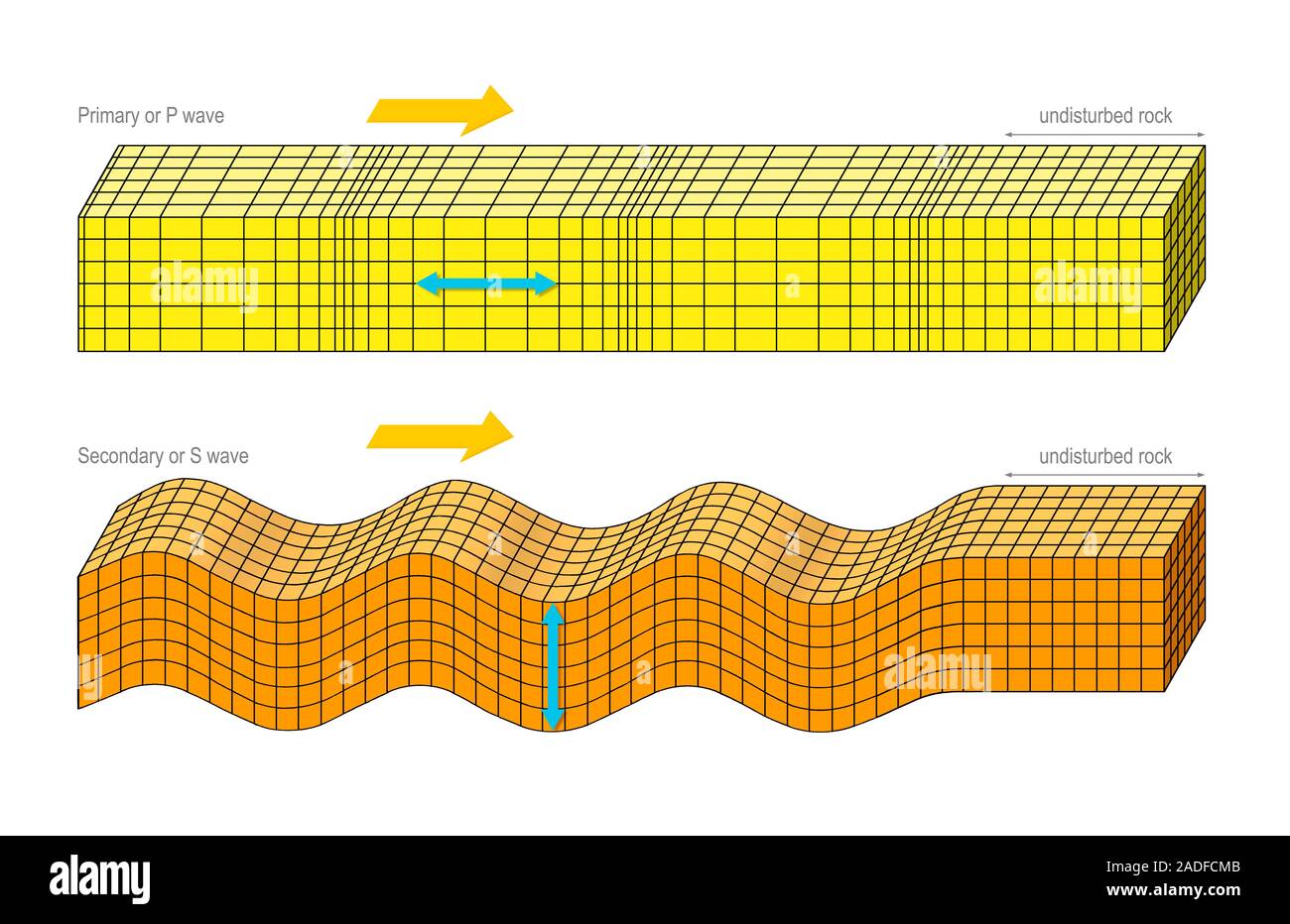 Stack Body Wave Seismic body waves. Artwork of the two types of body wave produced by ...