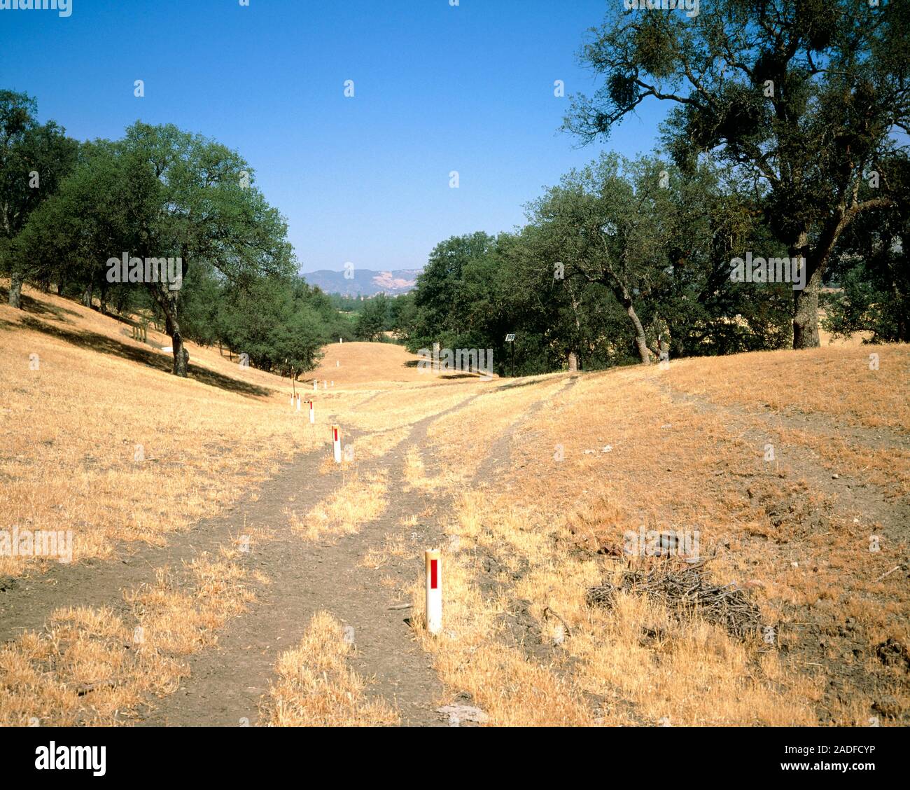 Parkfield earthquake prediction experiment. Stakes planted along the