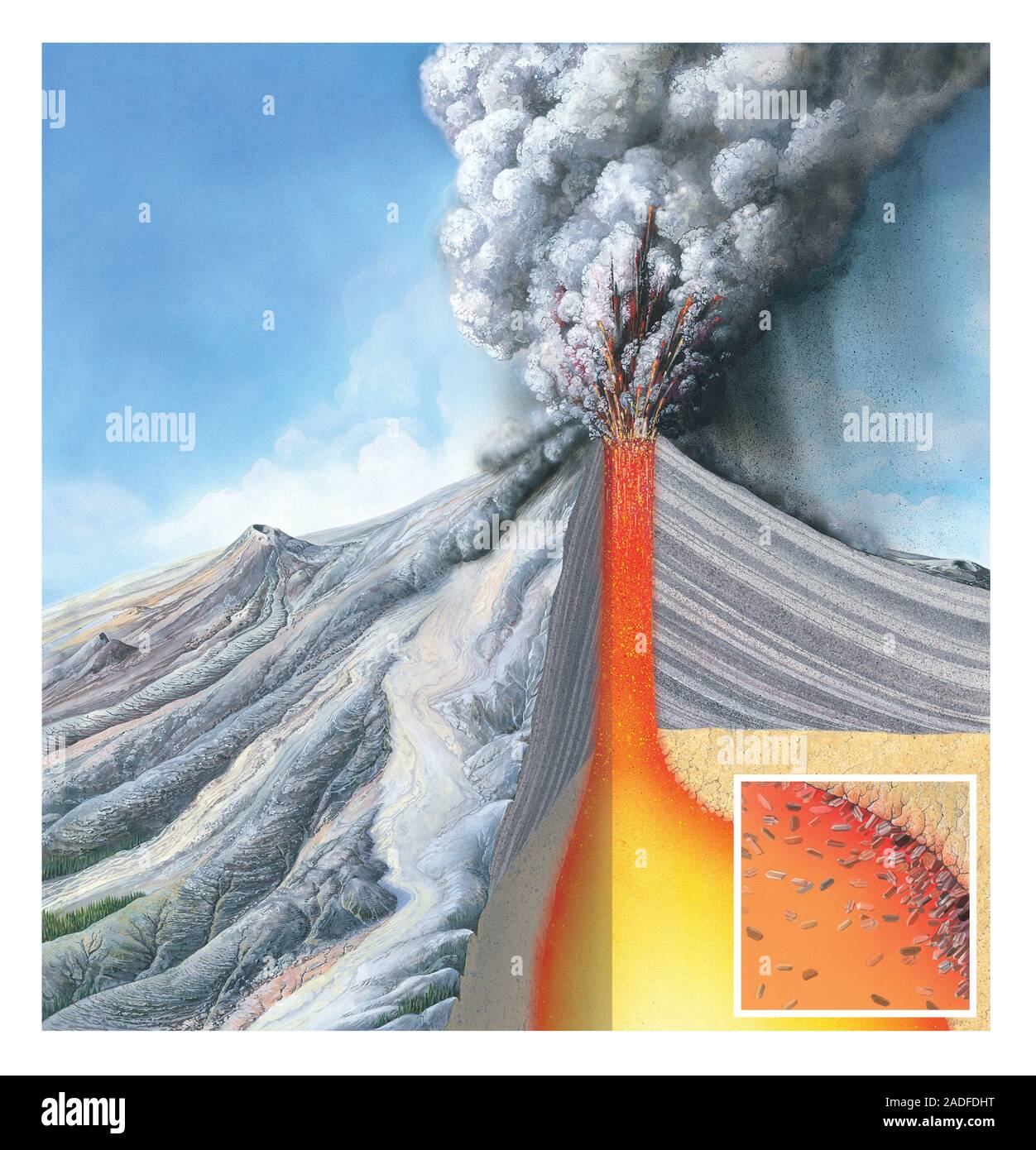 Stratovolcano erupting, cutaway artwork. During a volcanic eruption