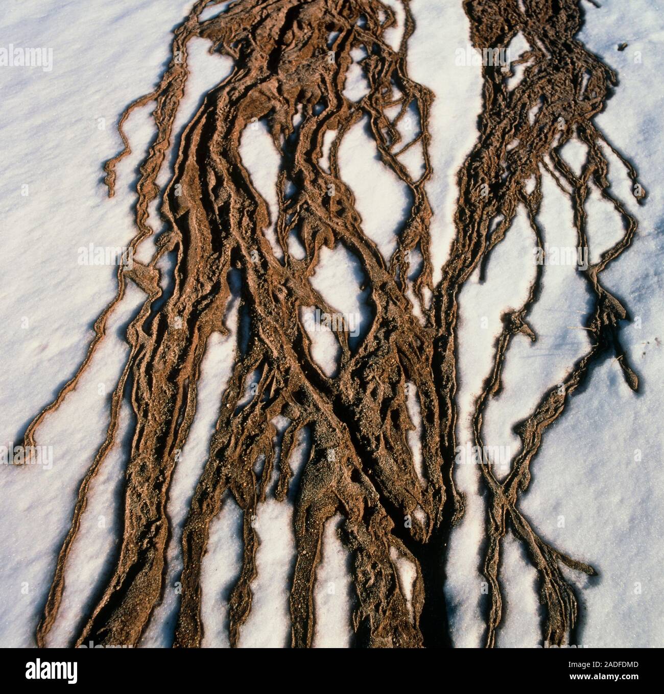 Volcanic ash mudflows. View of tortuous mudflows made of volcanic ash