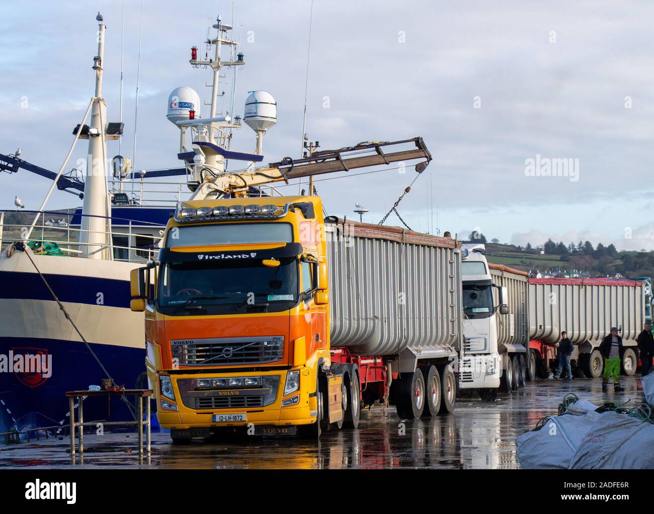 Union Hall, West Cork, Ireland 4th December 2019. A fleet of lorry’s queue’s to offload the catch of Sprats landed by the trawlers in today. Each Trawler landing over 100 ton of fish. Credit aphperspective/ Alamy Live News Stock Photo