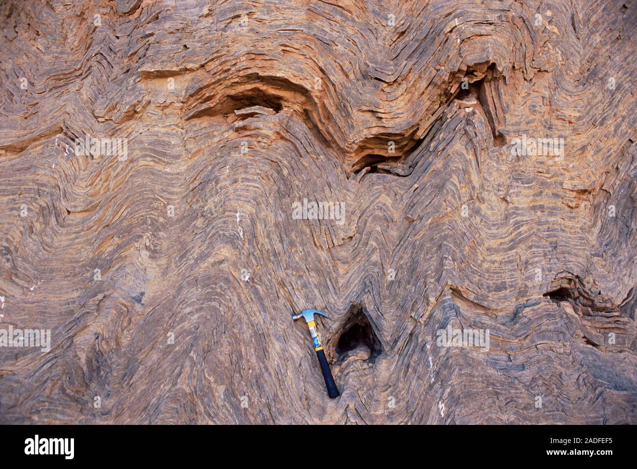 Convolute bedding. Contorted layers of Precambrian sedimentary rock ...