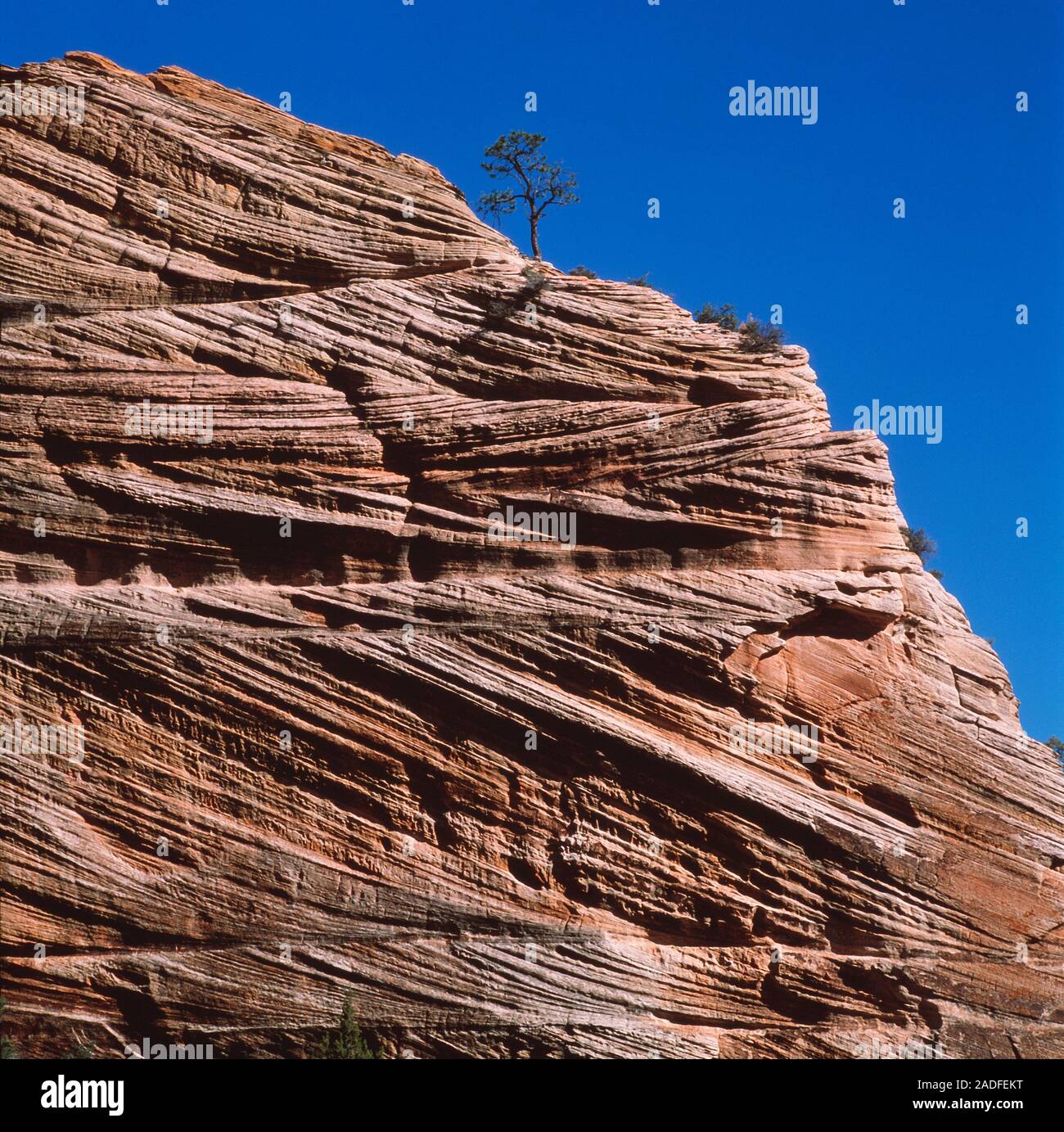 Sedimentary rock. Sandstone rock face showing crossbedding. This