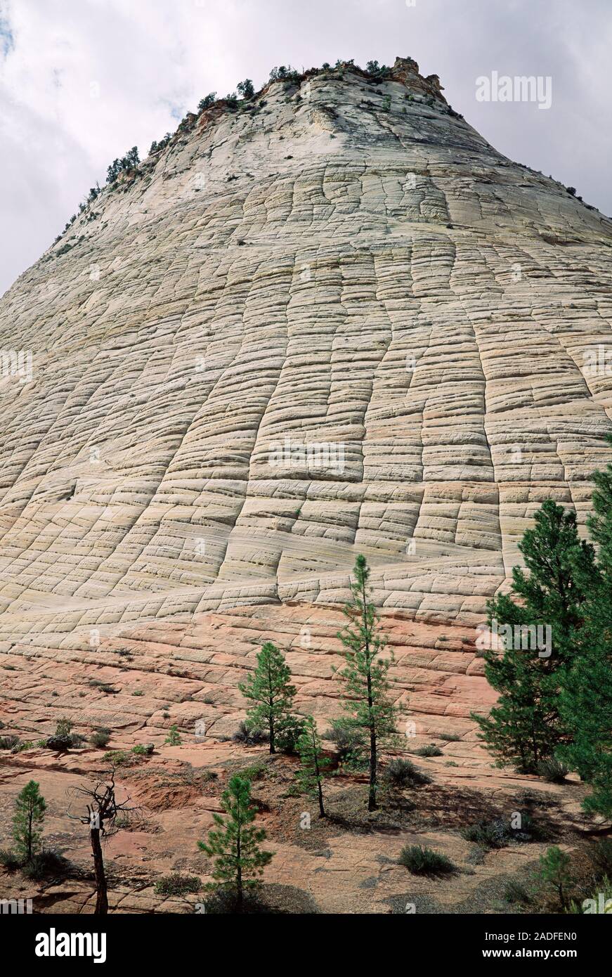 Crossbedded sandstone layers. Checkerboard mesa sandstone rock