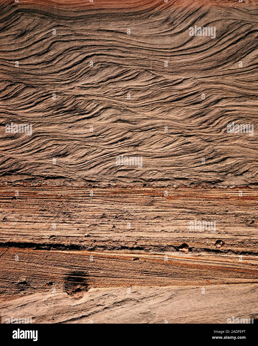 Sedimentary structures in sand beds, lacquer profile. Cross section of