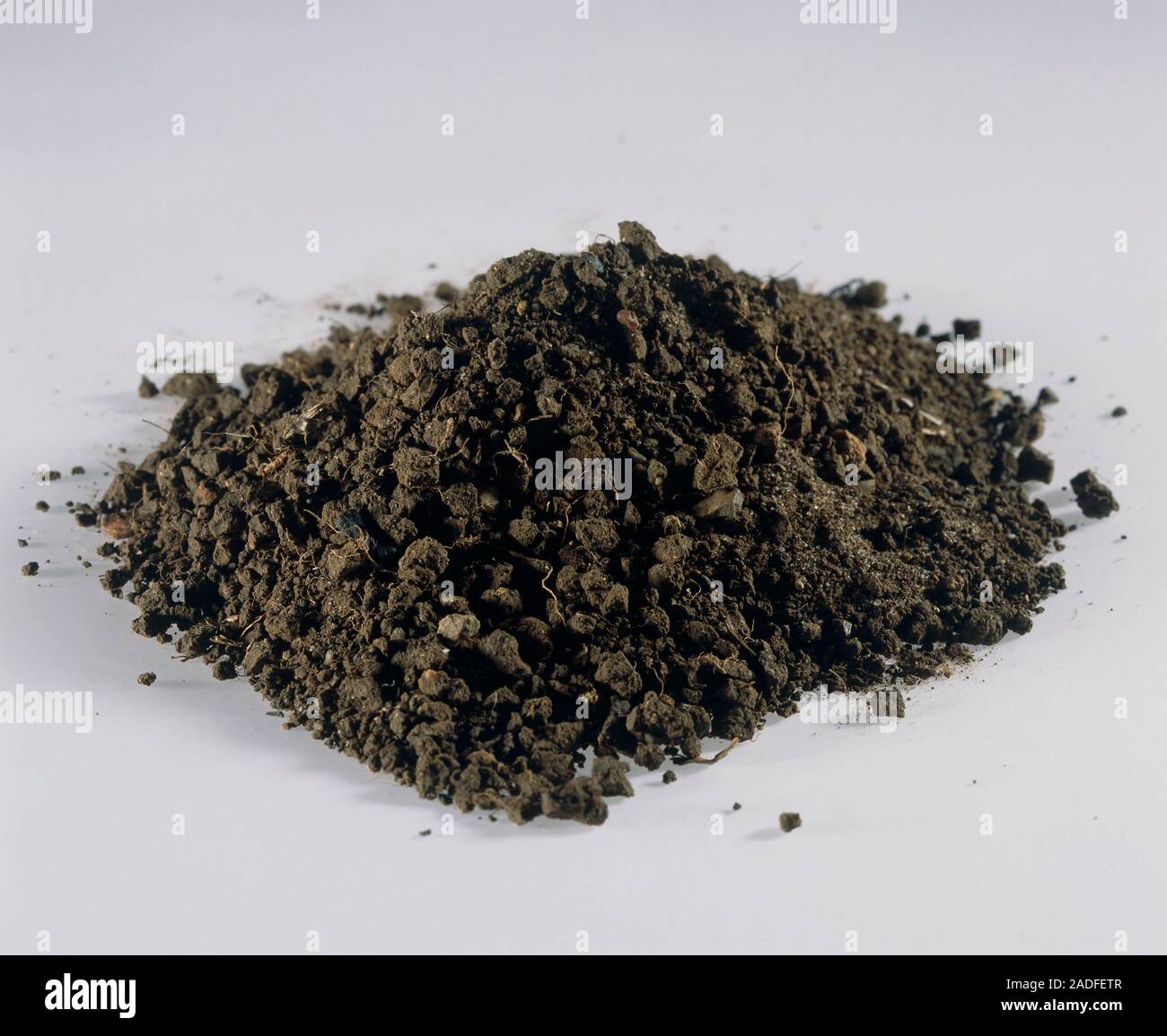 Sandy soil. Soils with a high proportion of sand are typically light brown in colour and loose