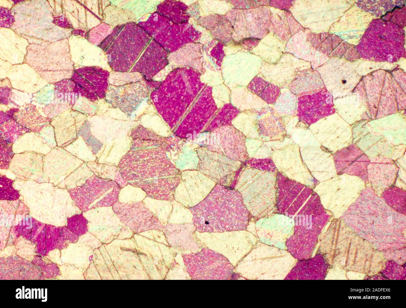 Polarised light micrograph of a thin section of crystalline marble from ...