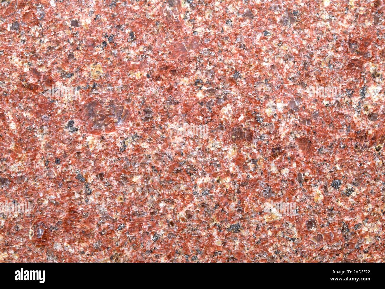 Red granite. Cut surface of red granite, showing the rock's coarsely crystalline structure. The
