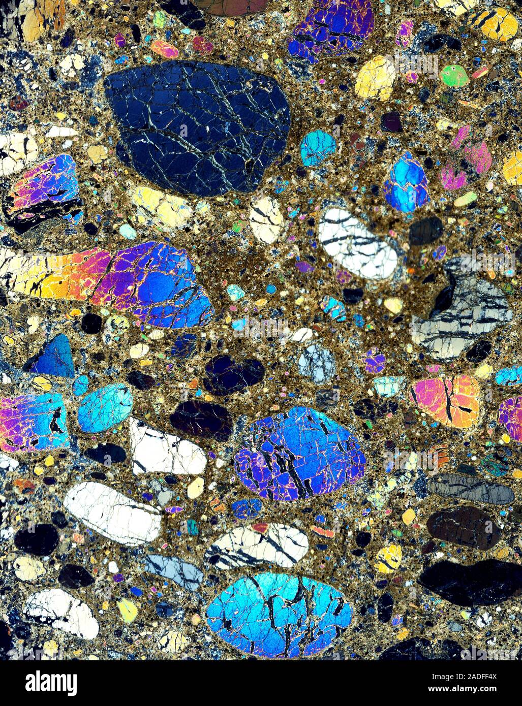 Kimberlite rock. Polarised light micrograph of a section through ...
