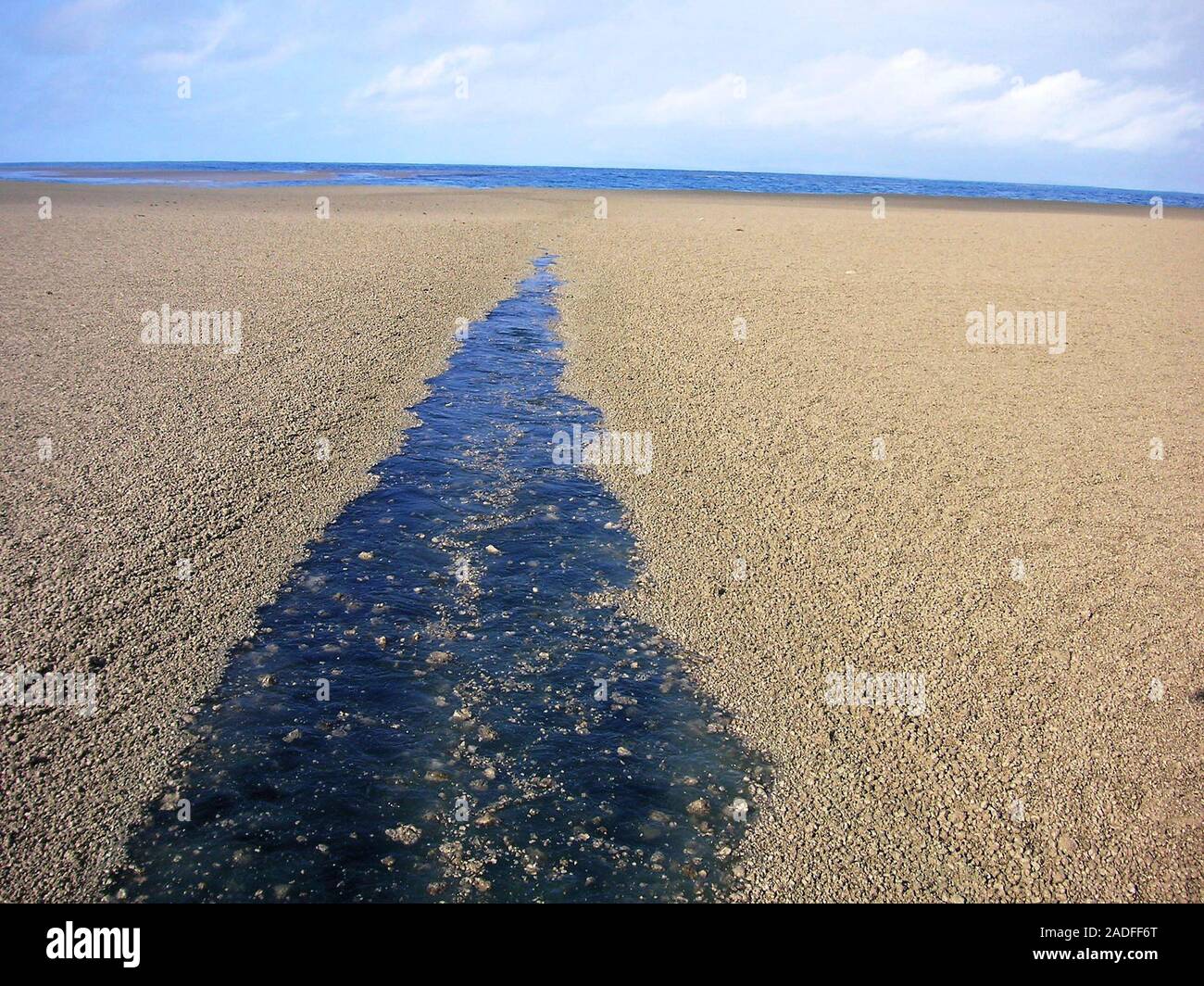 Pumice raft in the Pacific Ocean. The wake of the yacht Maiken, from ...