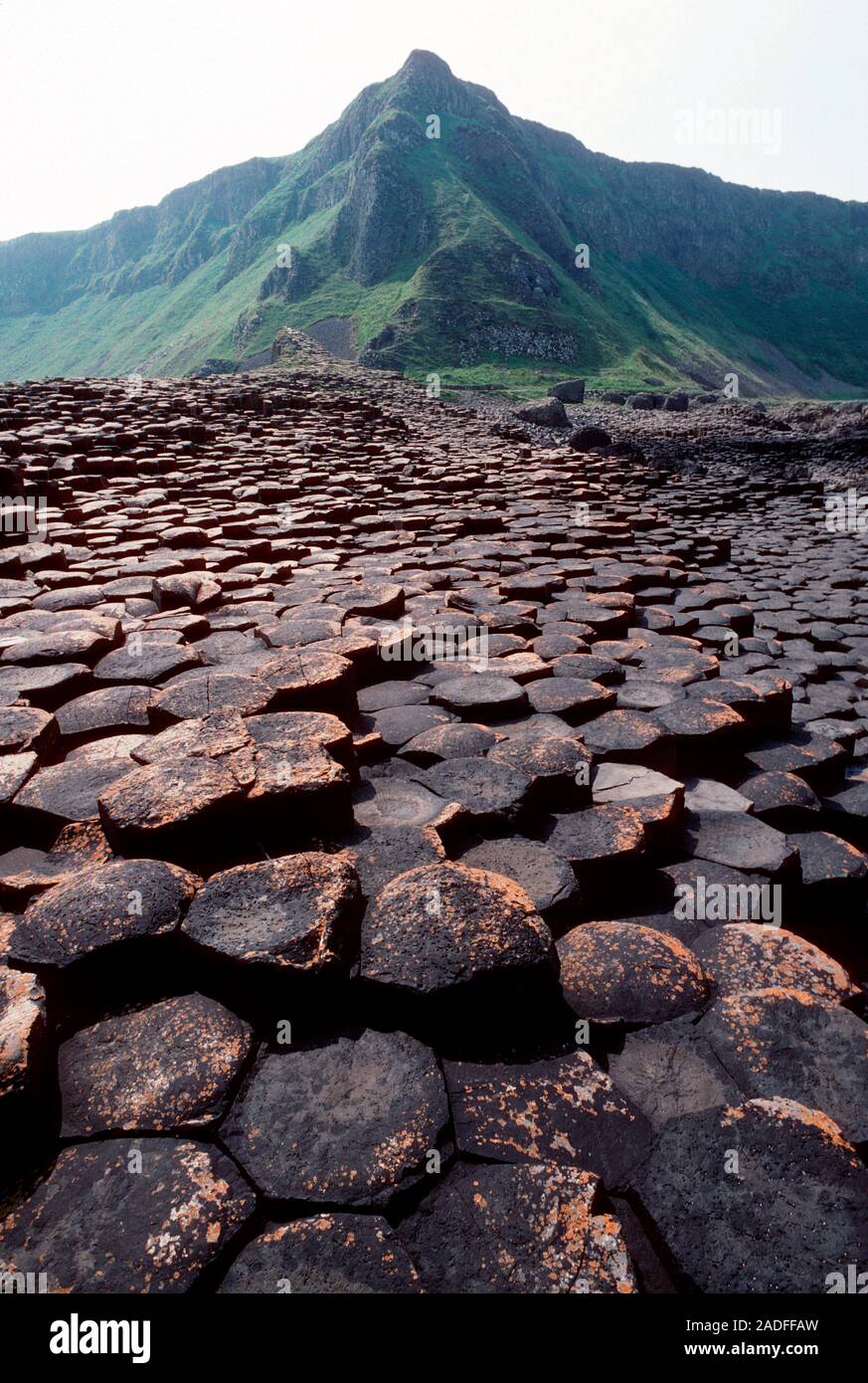 Giant's Causeway. Columns of basalt rock at the Giant's Causeway, in ...