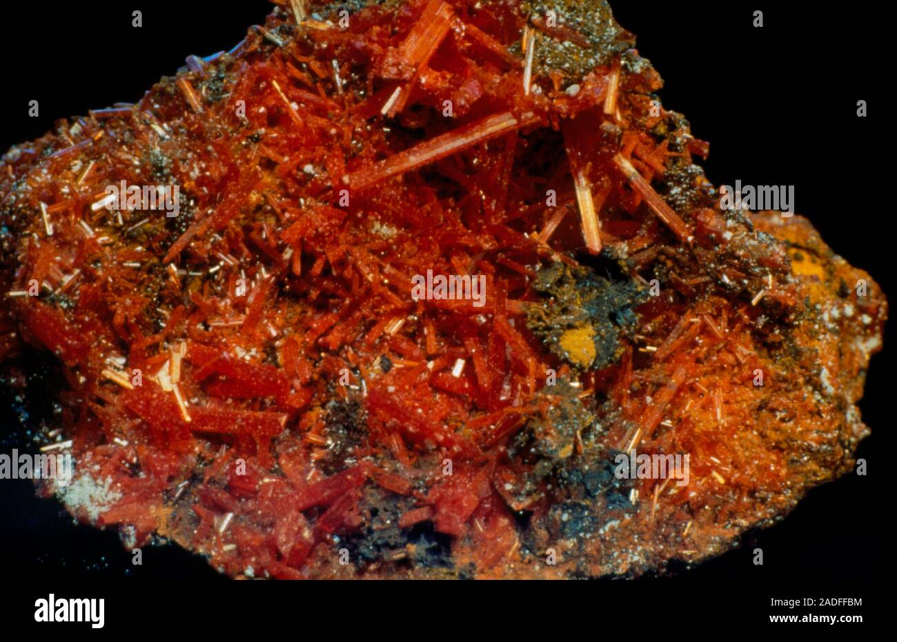 The mineral crocoite (lead chromate), with prismatic, orangered
